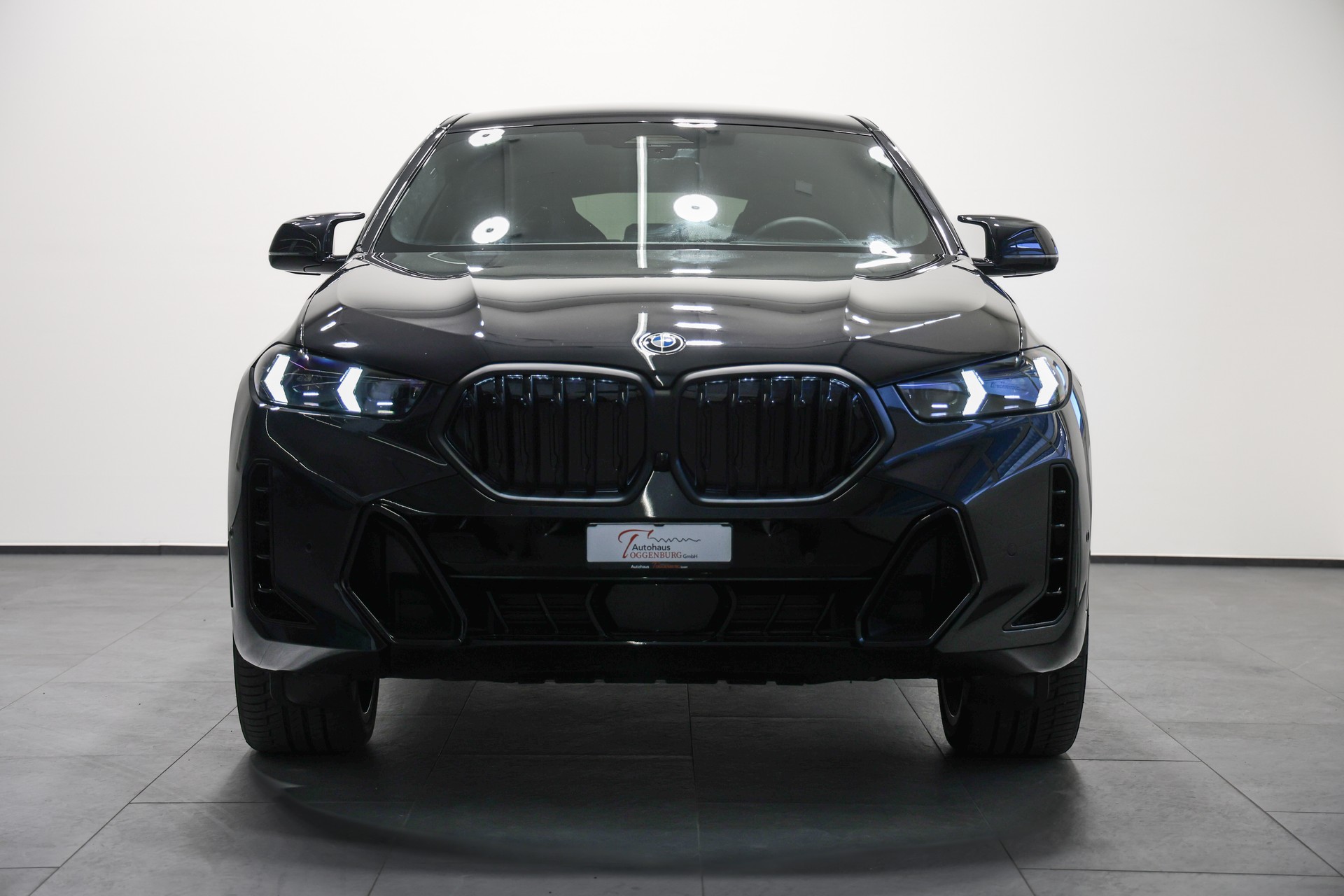 BMW X6 xDrive 48V 30d M Sport Steptronic-showroom-element-3