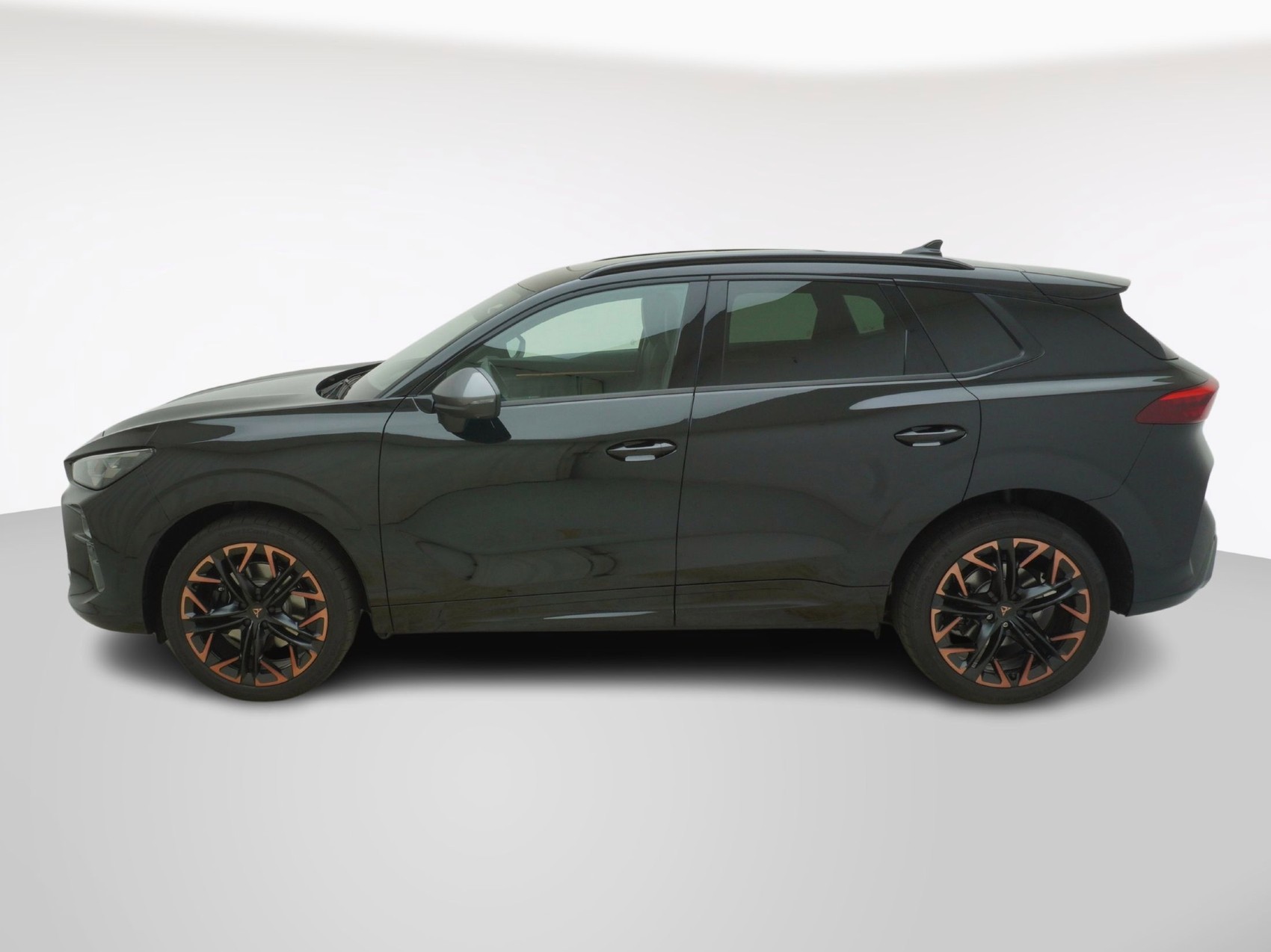CUPRA Terramar 2.0 TSI 4Drive DSG-showroom-element-1