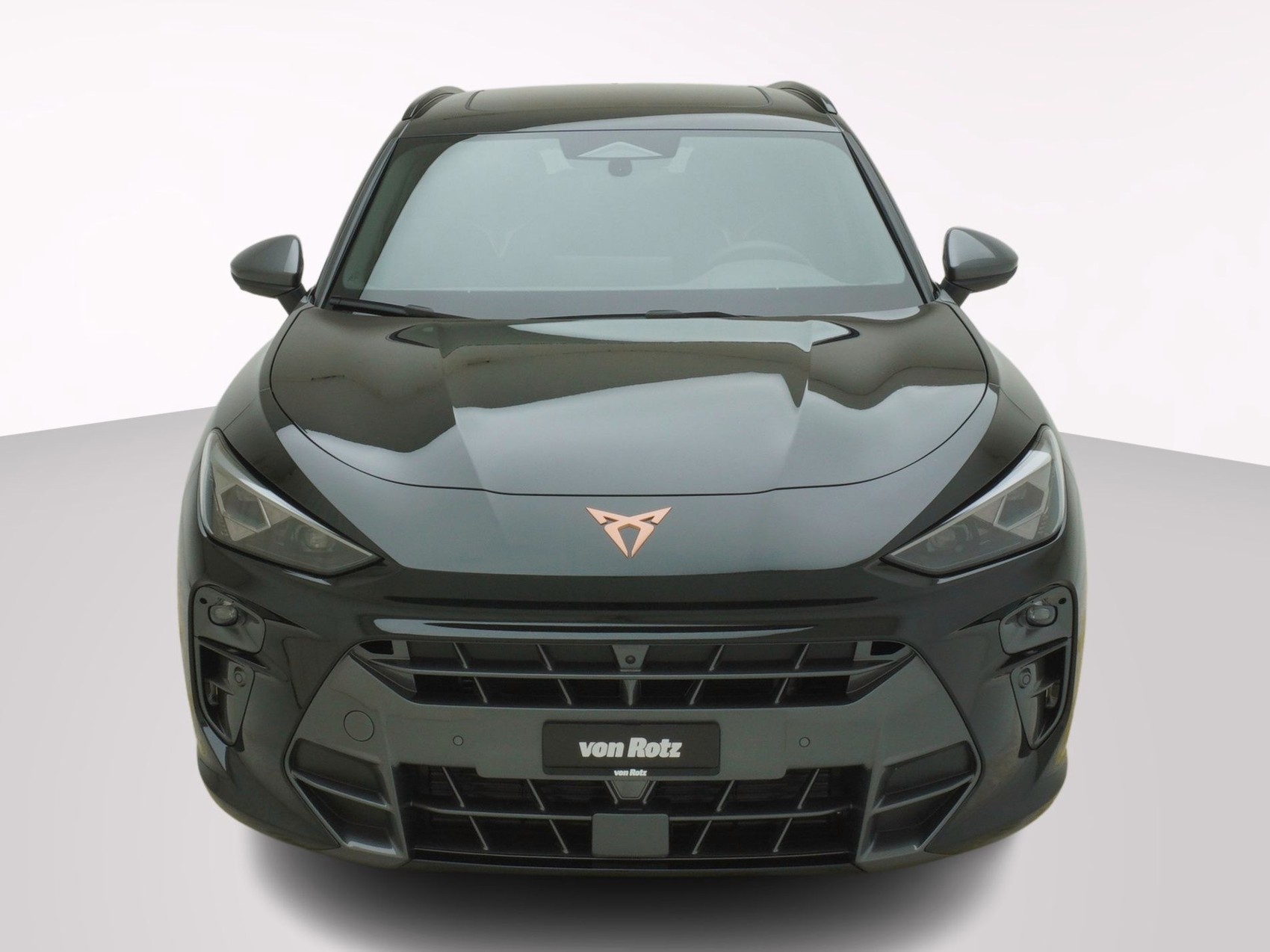 CUPRA Terramar 2.0 TSI 4Drive DSG-image-6