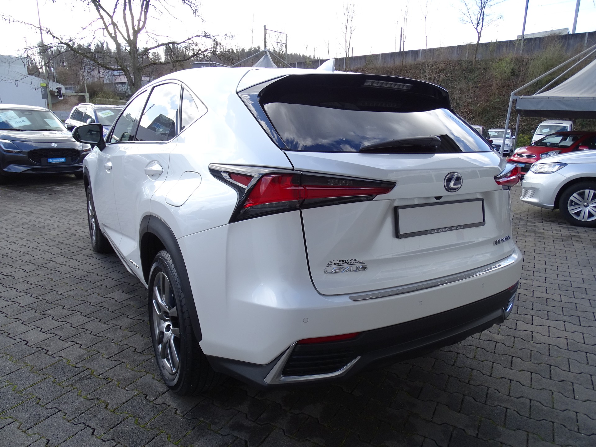 LEXUS NX 300h Comfort E-Four Automatic-image-10