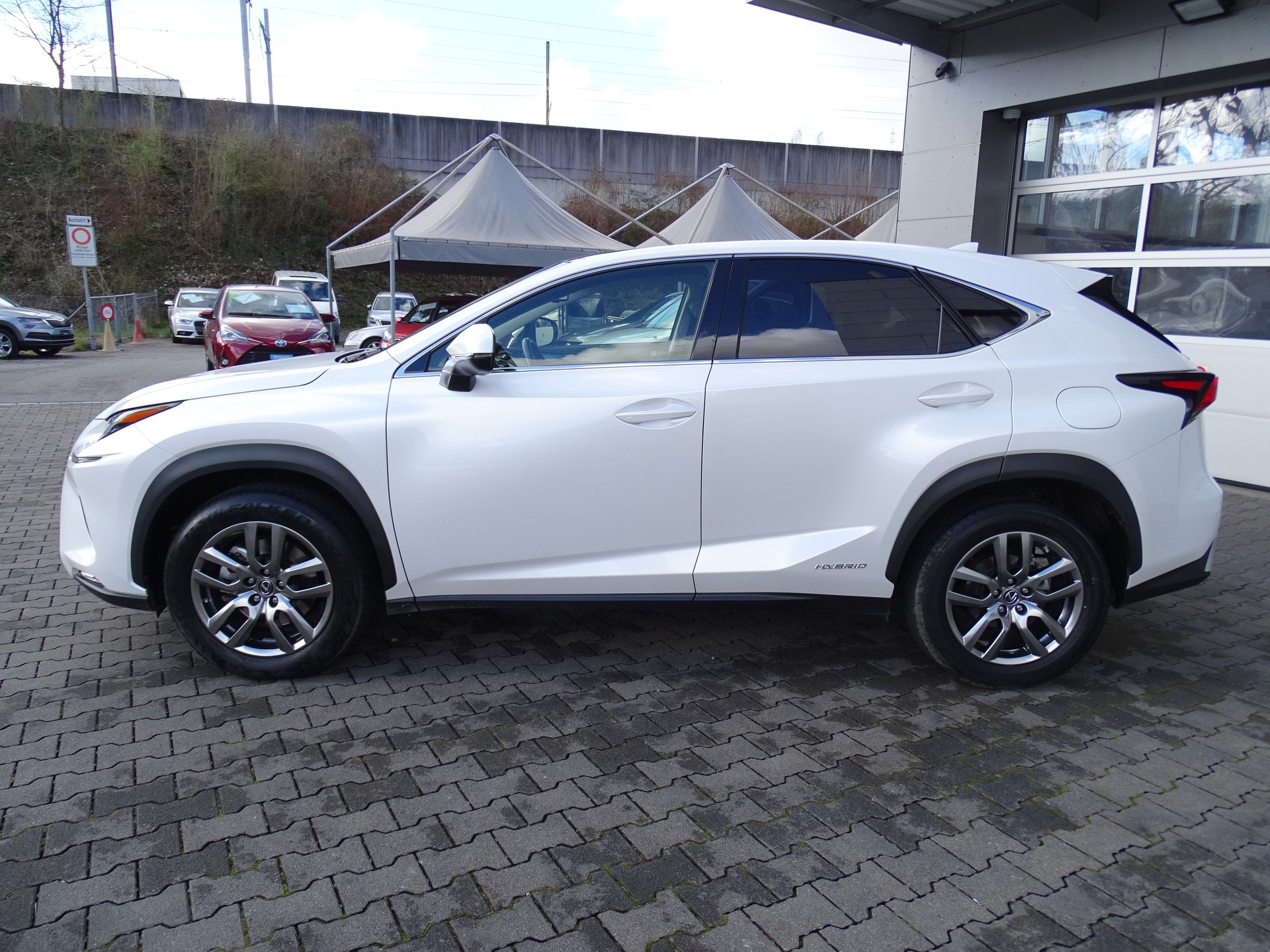 LEXUS NX 300h Comfort E-Four Automatic-image-14