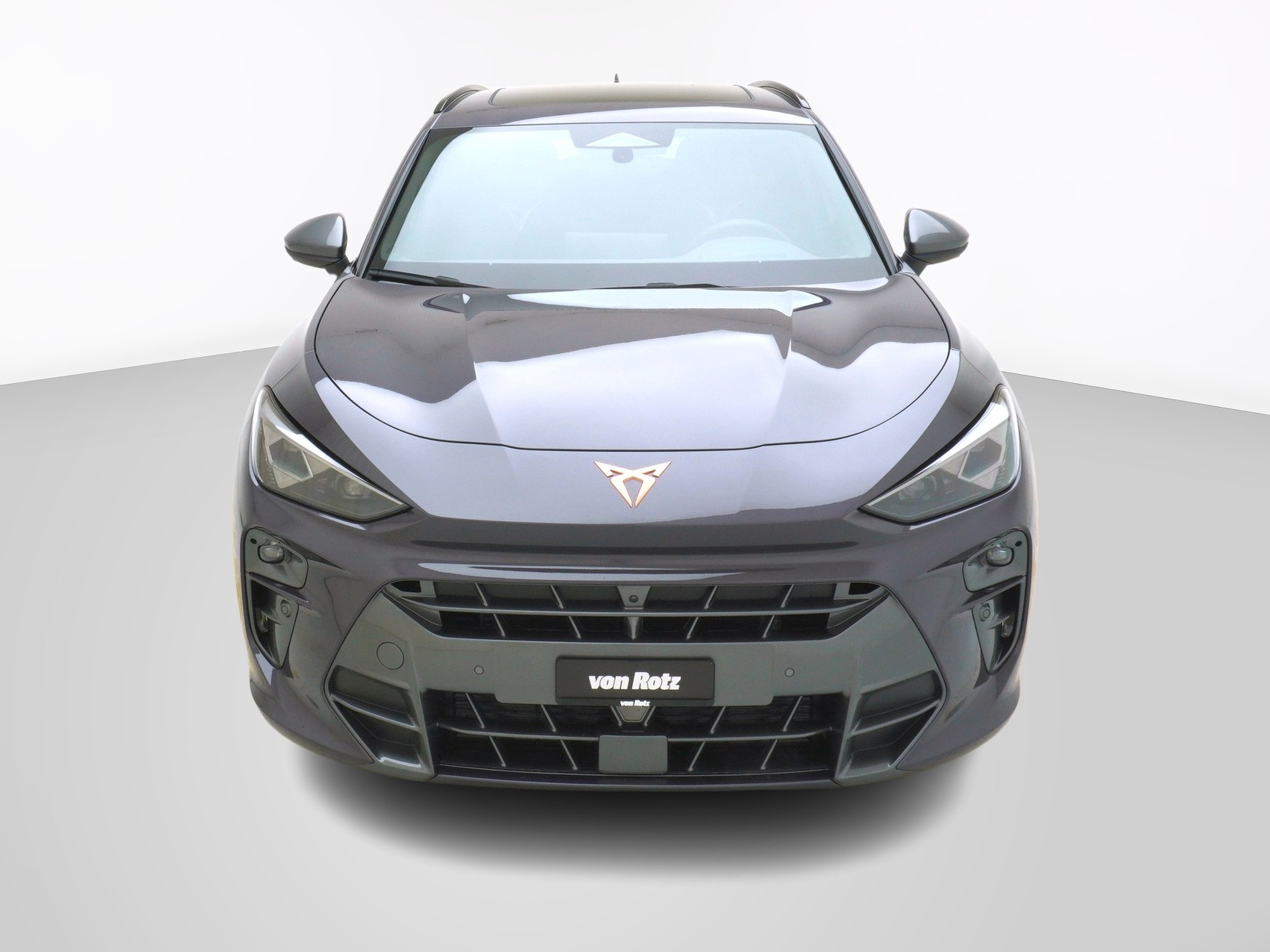 CUPRA Terramar 2.0 TSI 4Drive DSG-image-6