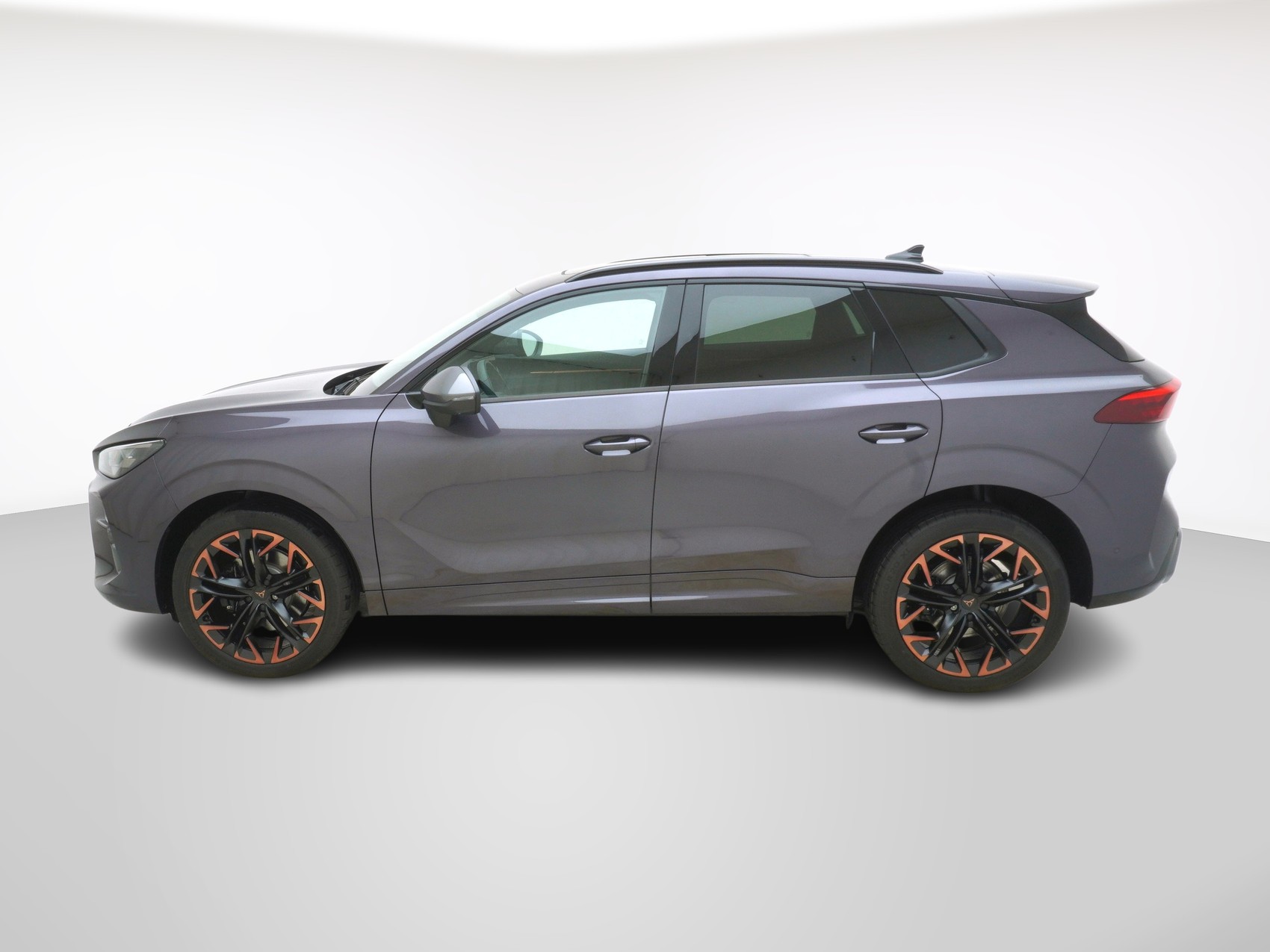 CUPRA Terramar 2.0 TSI 4Drive DSG-showroom-element-1