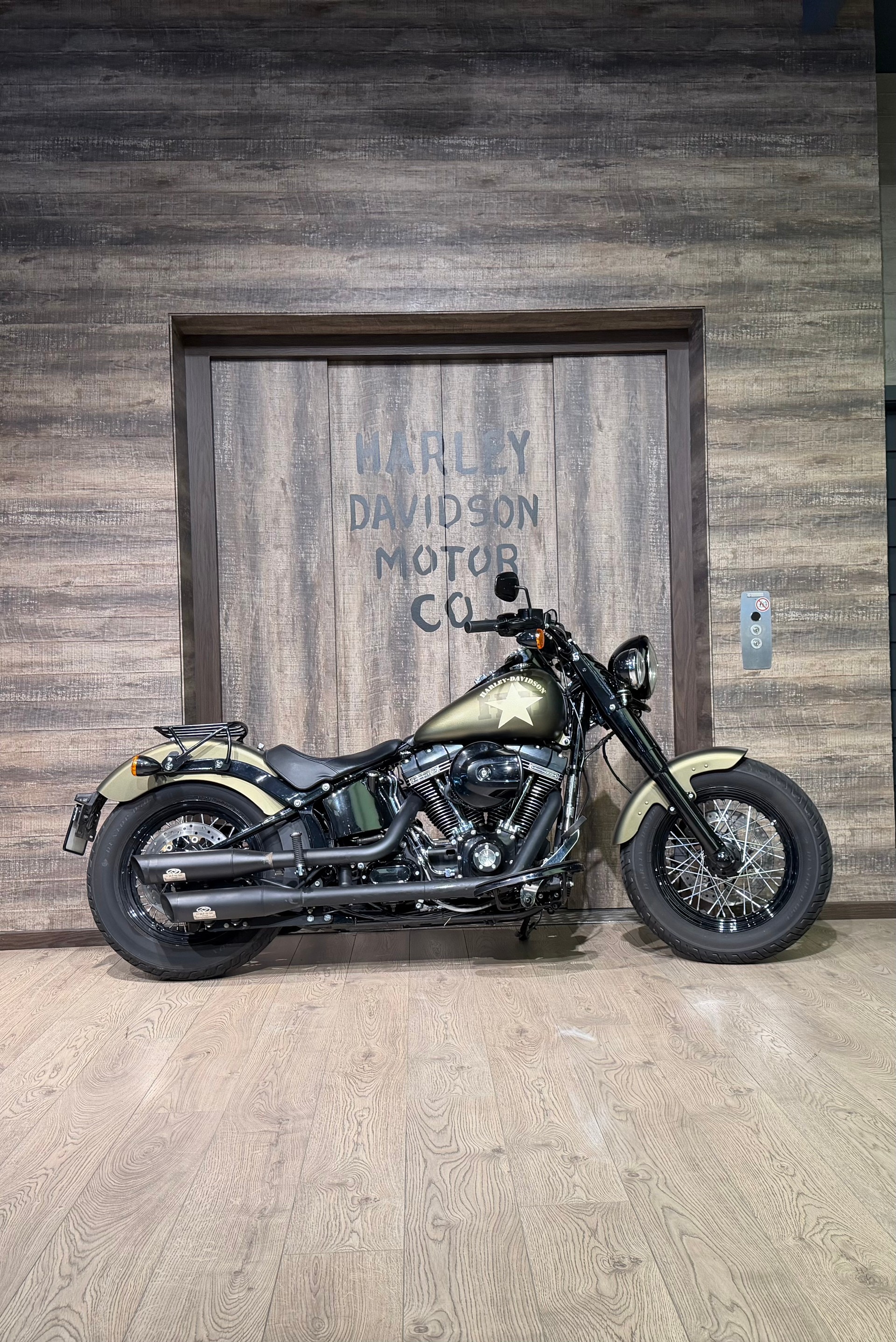 HARLEY-DAVIDSON FLSS Softail Slim S110 ABS-image-0