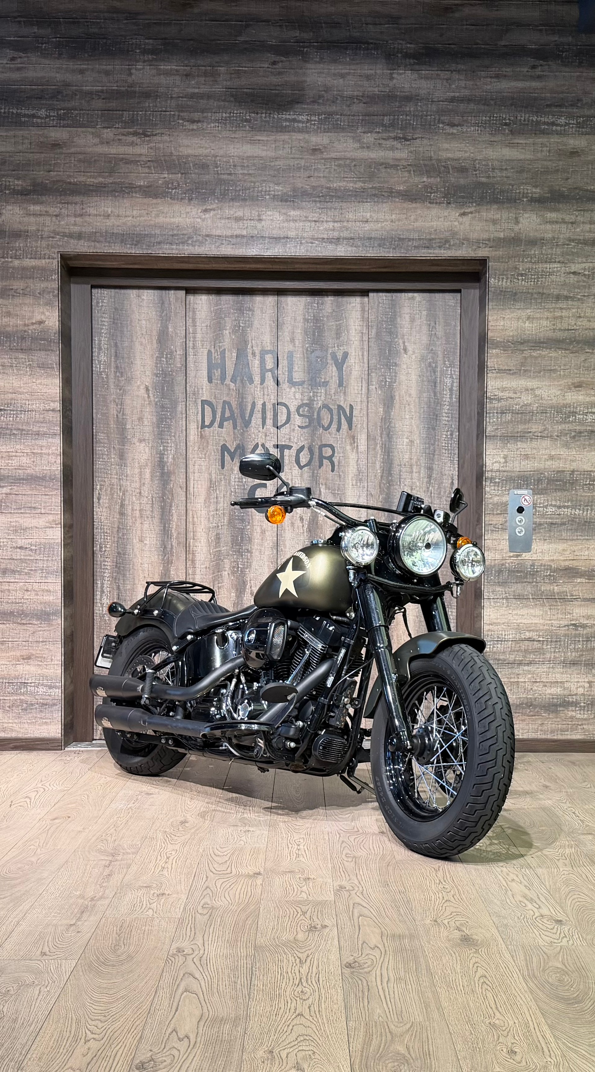HARLEY-DAVIDSON FLSS Softail Slim S110 ABS-image-1