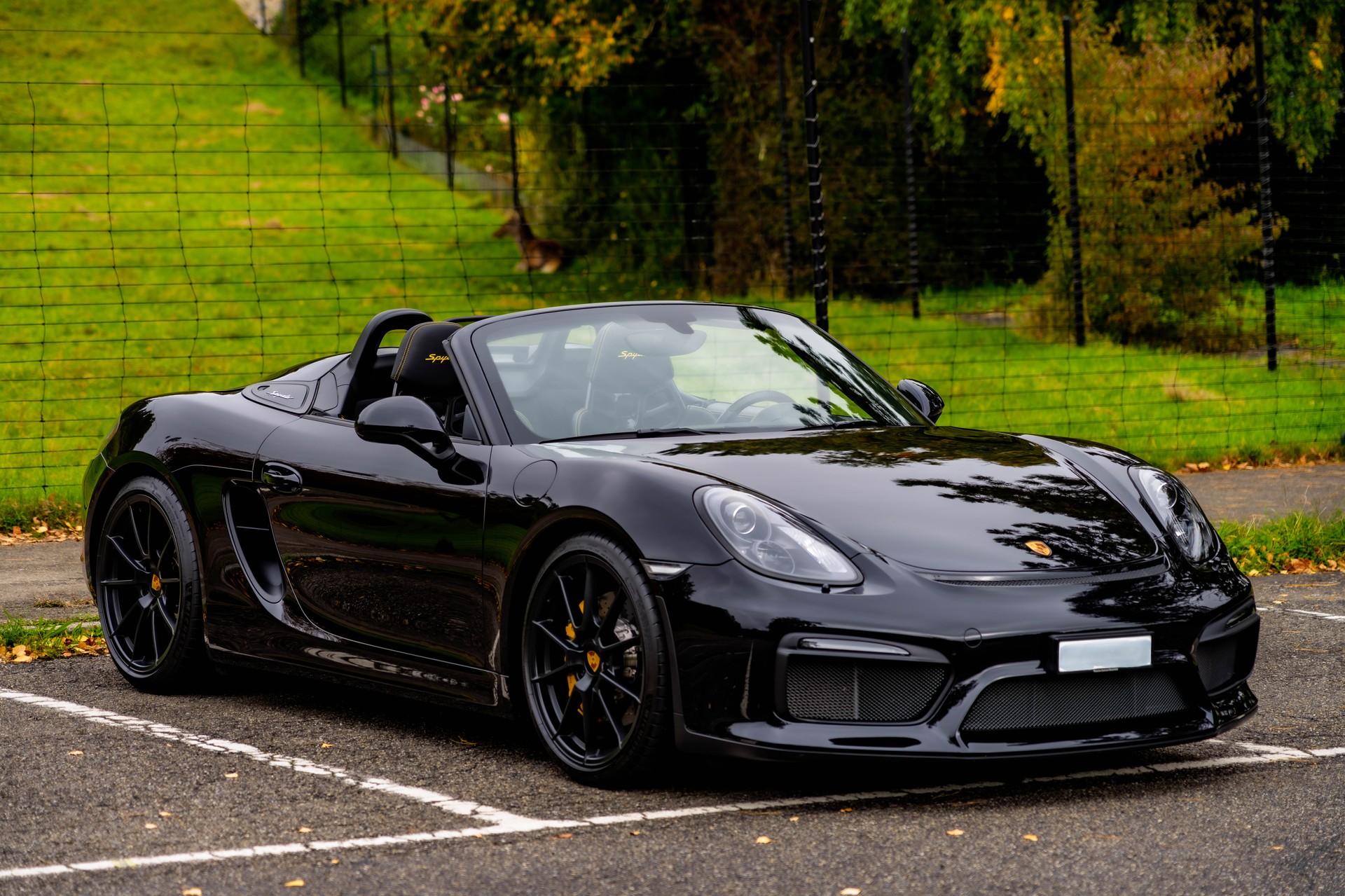 PORSCHE Boxster Spyder 3.8, Approved bis 18.8.2027