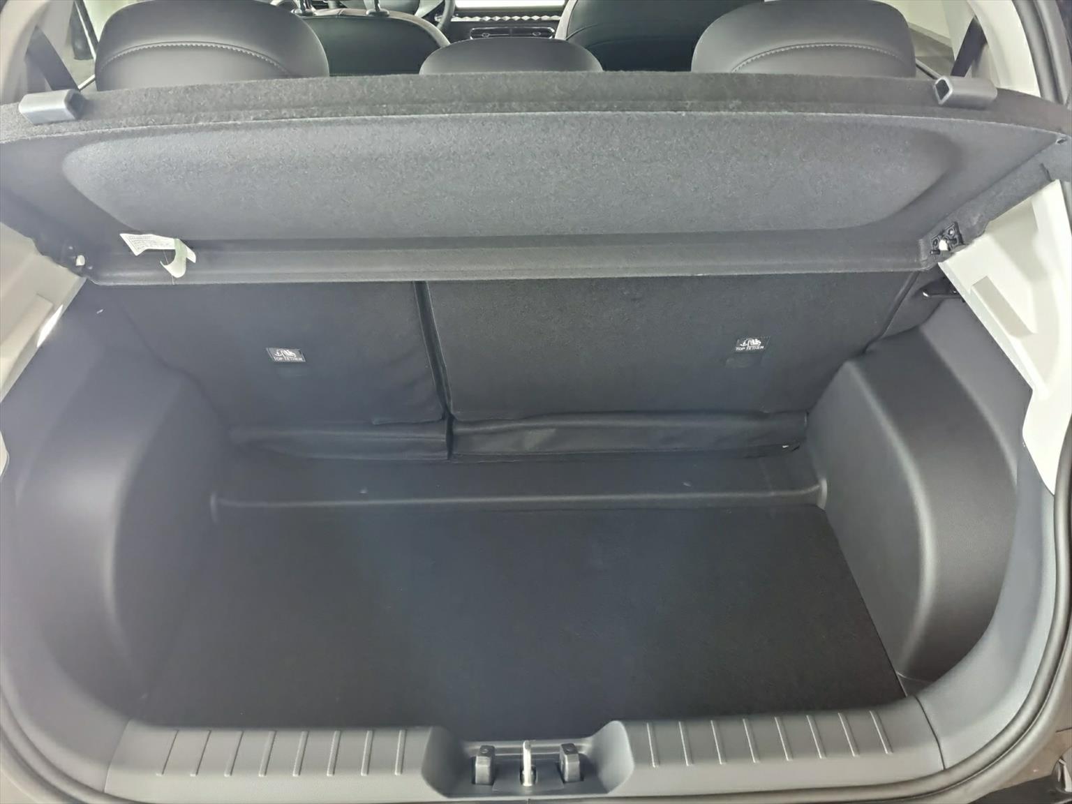 JAC E30X Elektro 51 kWh 374km Reichweite-image-13