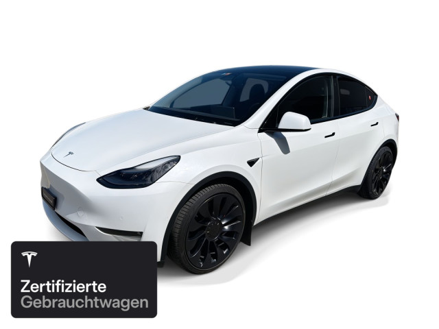 TESLA Model Y Performance