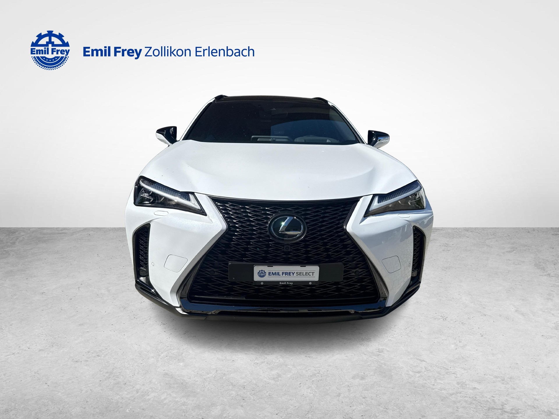 LEXUS UX 250h F-Sport-image-7