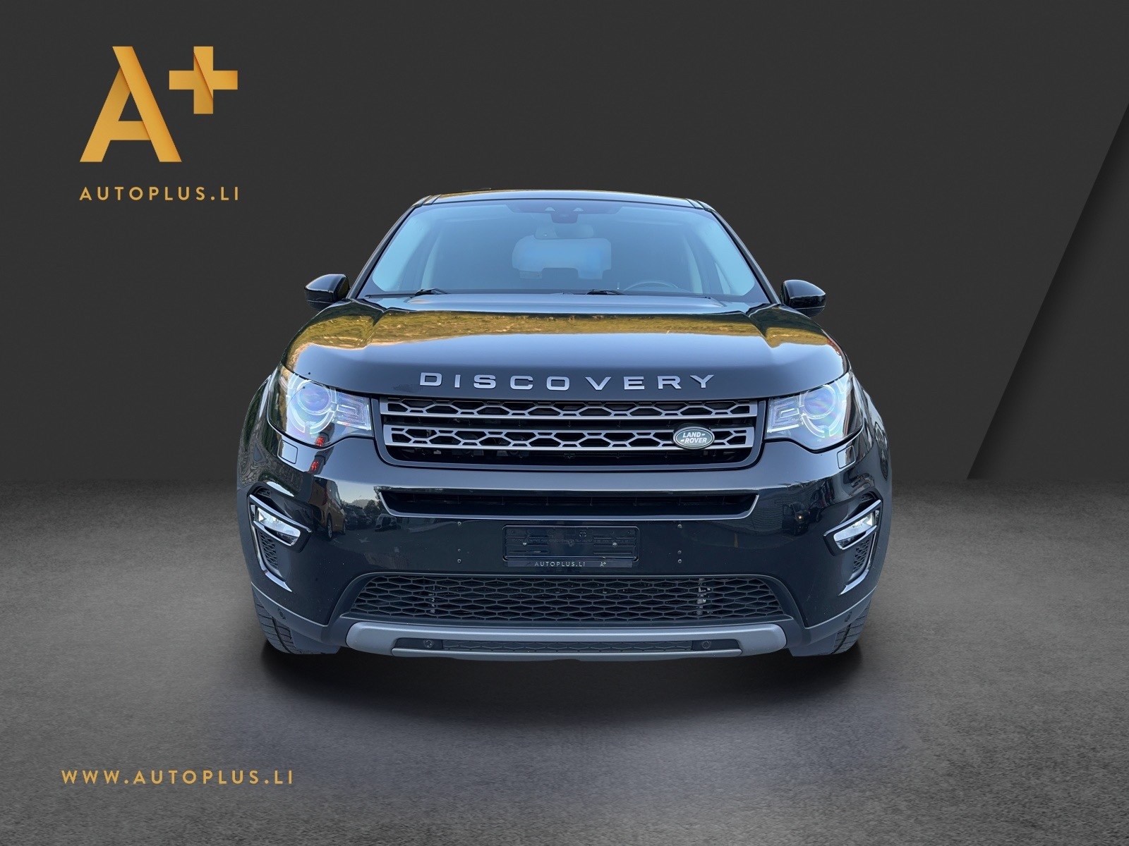 LAND ROVER Discovery Sport 2.0 TD4 SE AT9-image-9