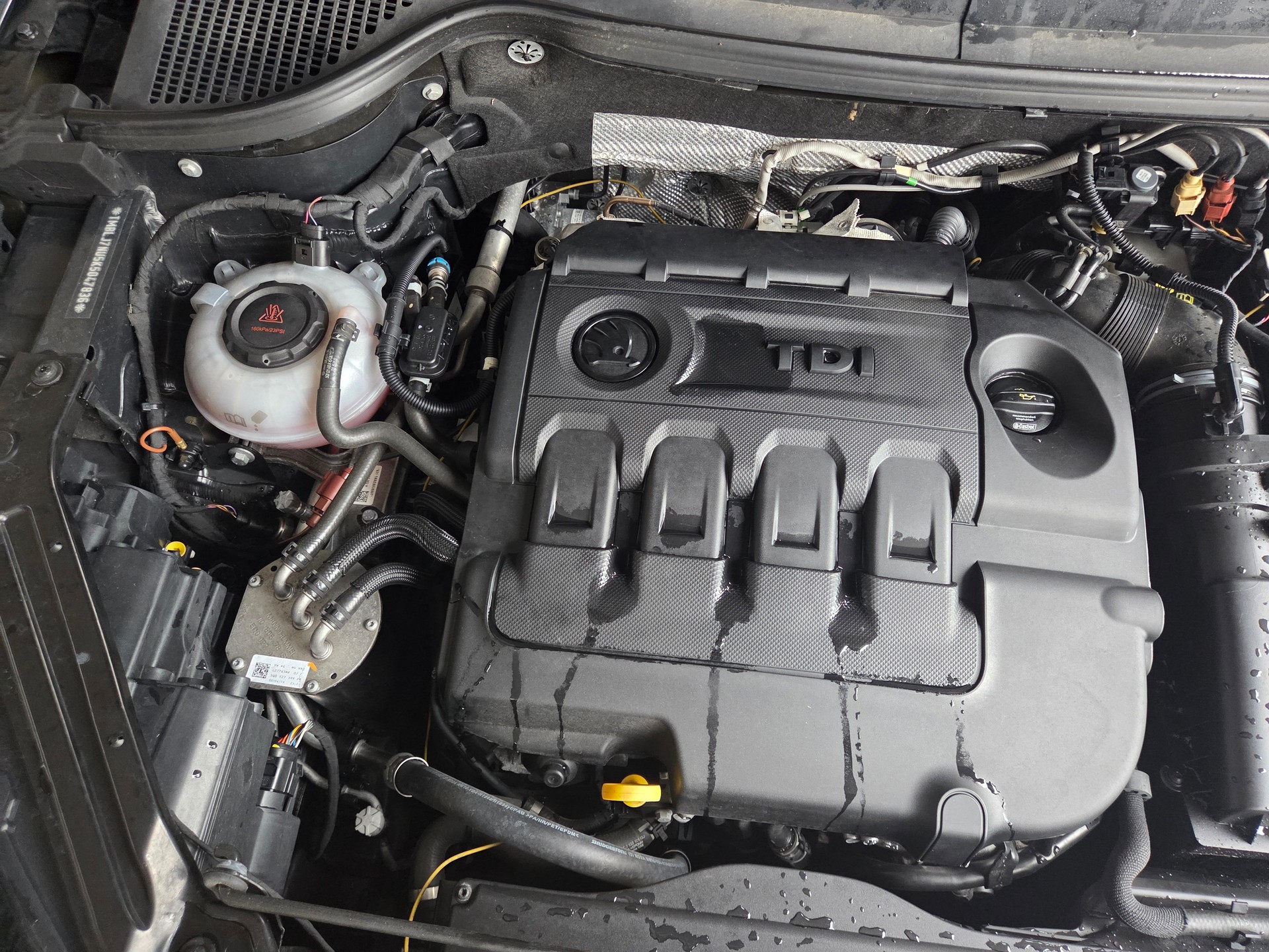 SKODA Karoq 2.0 TDI CR Smile 4x4 DSG-image-3