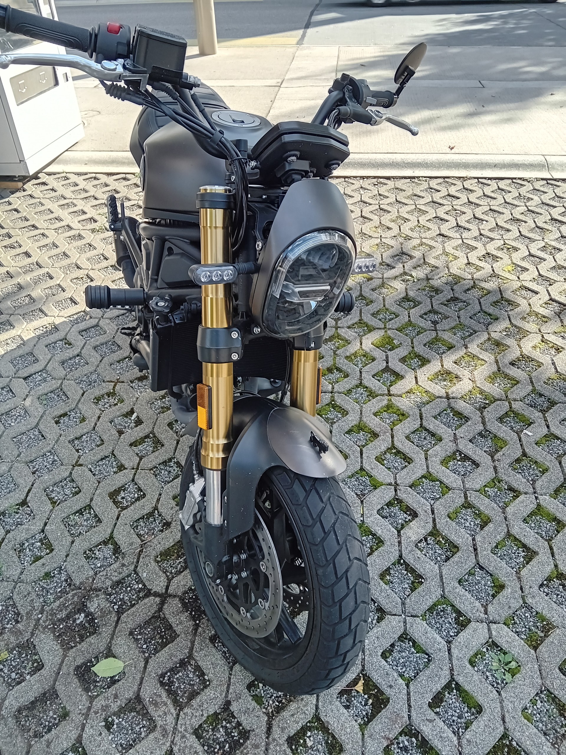 BENELLI Leoncino 800 (35kW)-image-3