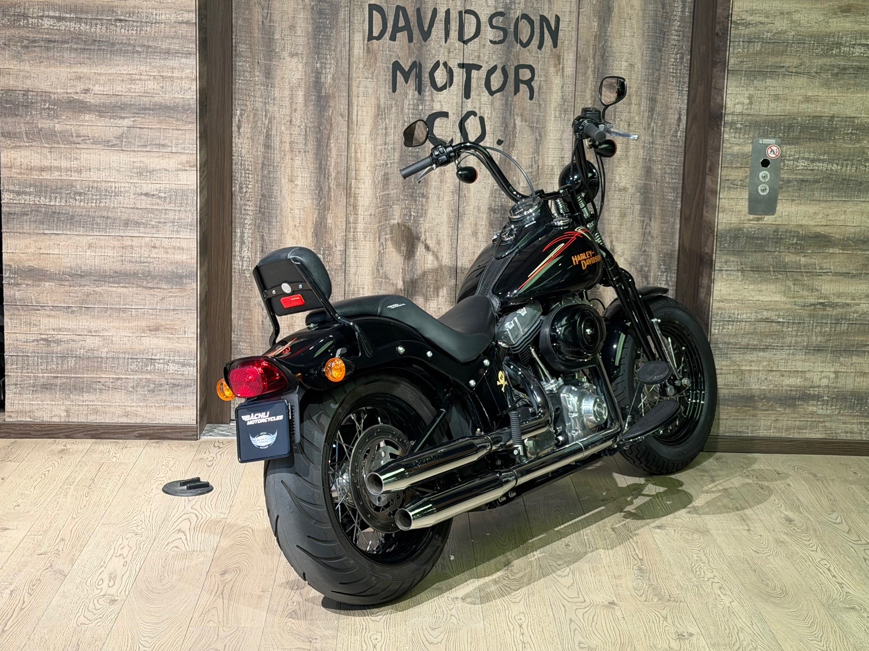 HARLEY-DAVIDSON FLSTSB Cross Bones-image-5