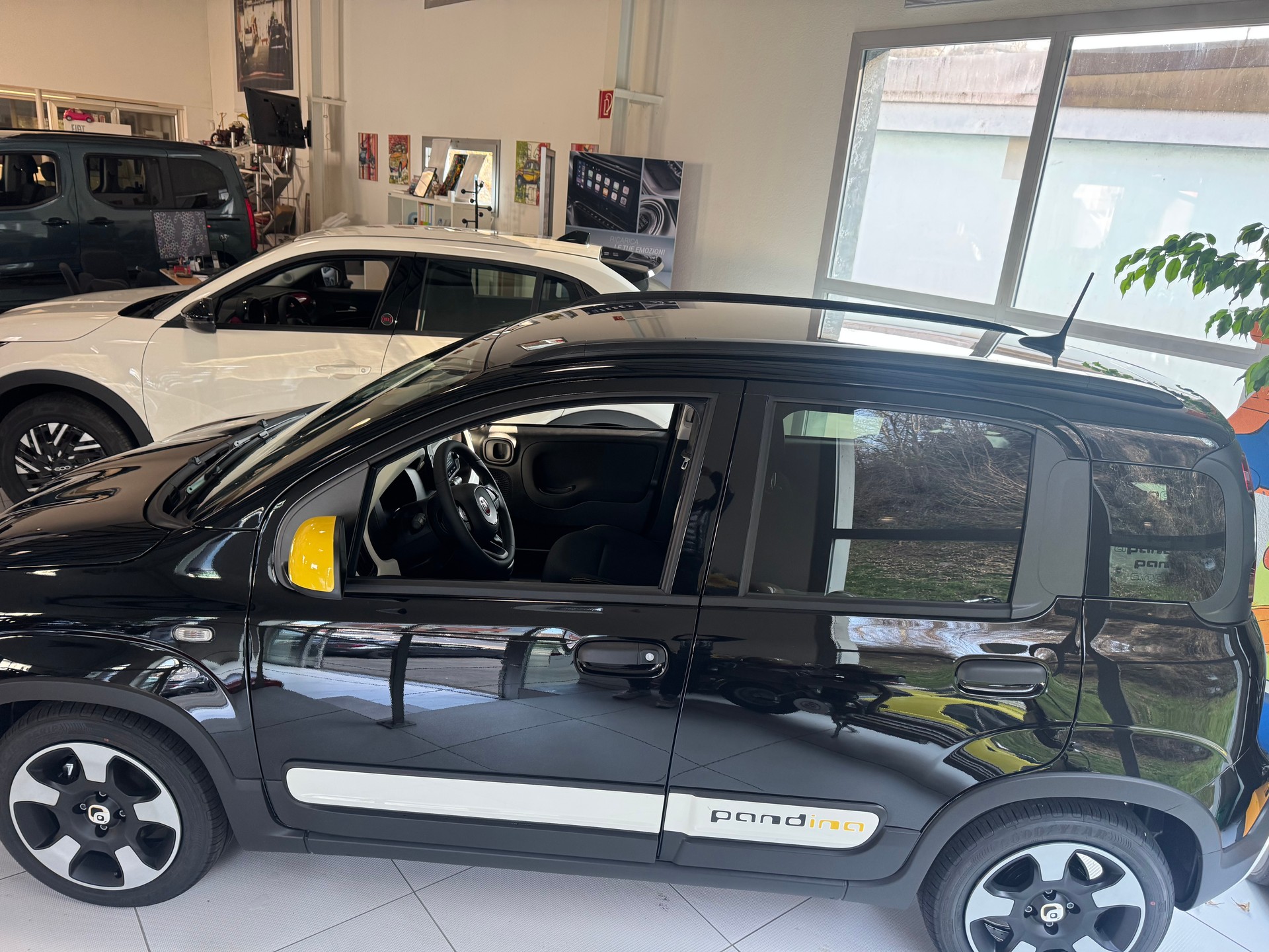 FIAT Panda 1.0 MHEV City CROSS-image-4