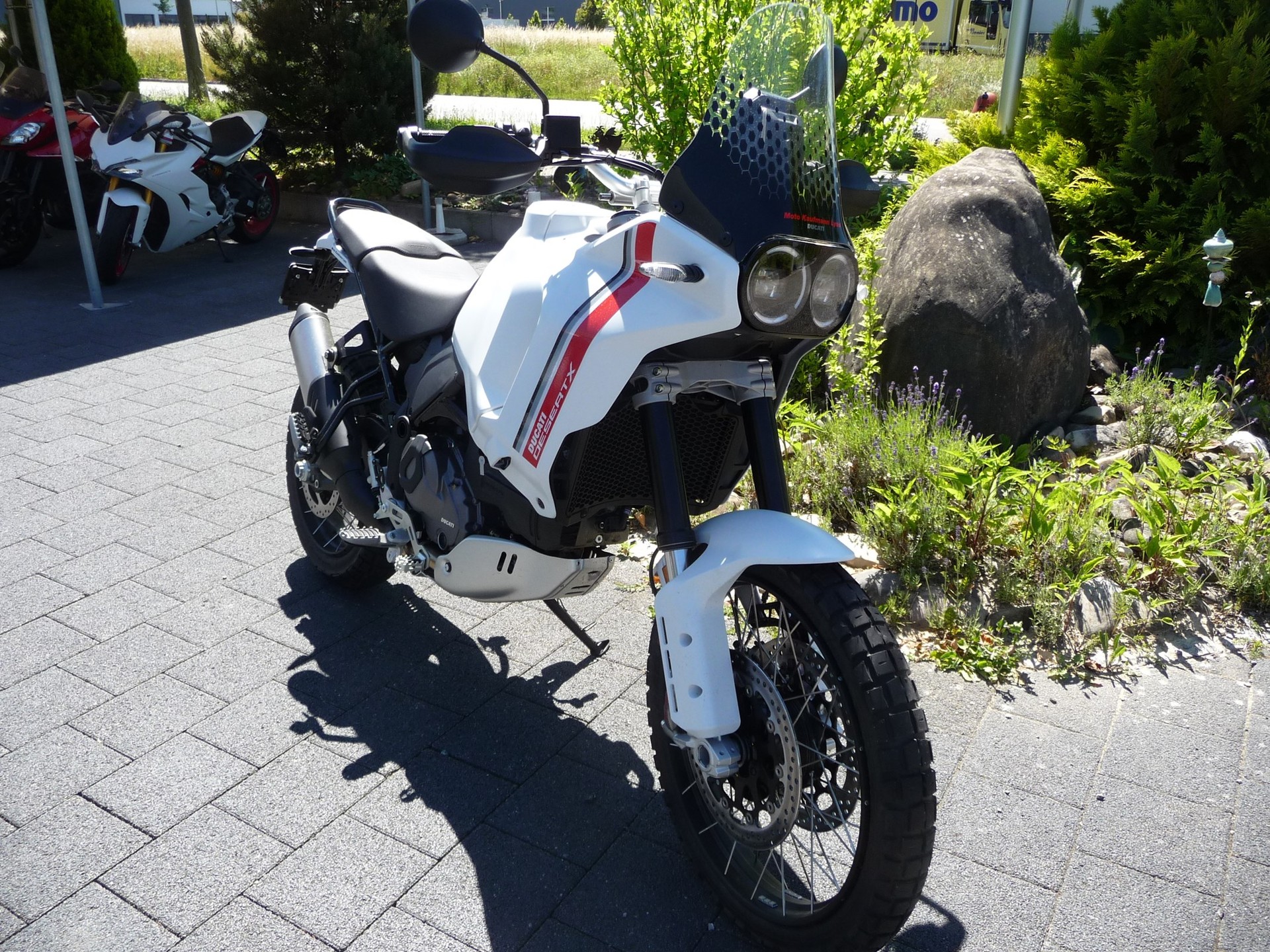DUCATI DESERT X-image-2