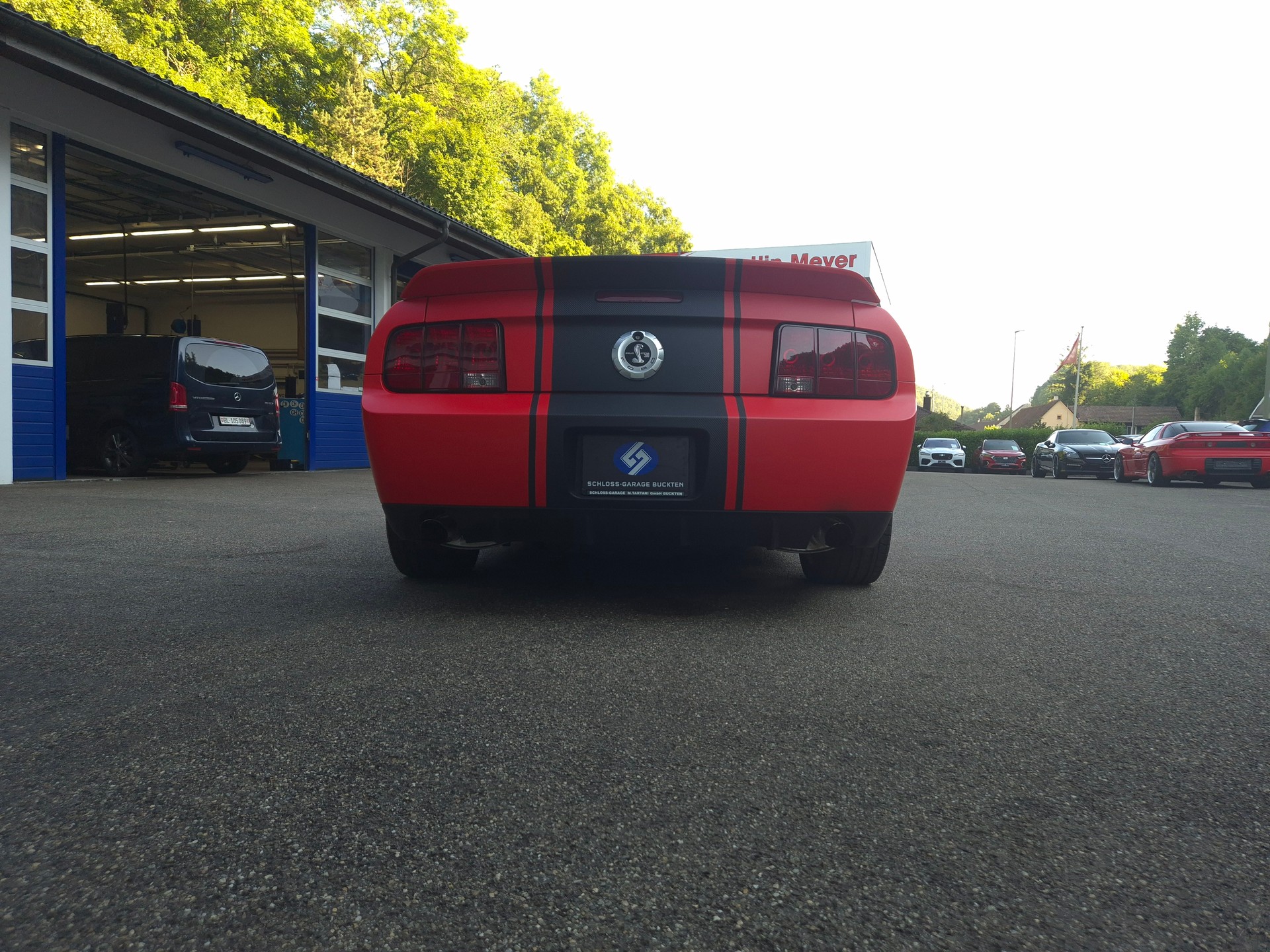FORD Mustang Shelby GT500 SVT-image-12