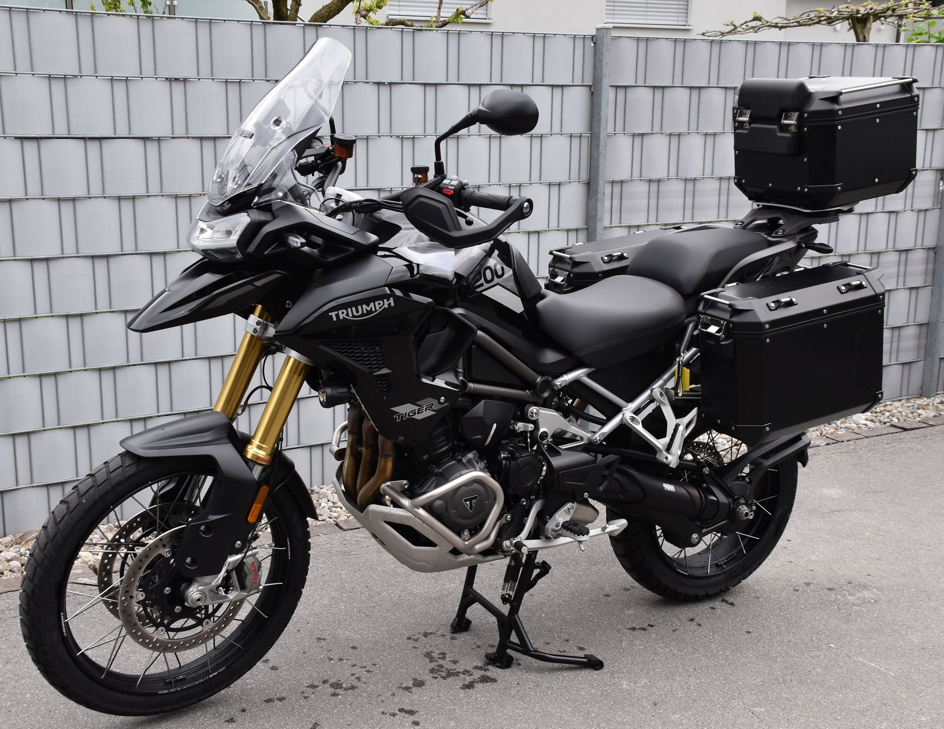 TRIUMPH Tiger 1200 Rally Pro-image-1