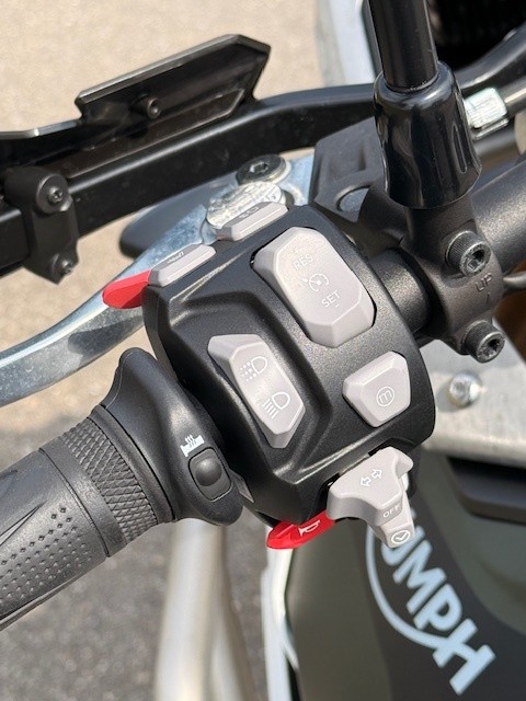TRIUMPH Tiger 900 Rally Pro-image-10
