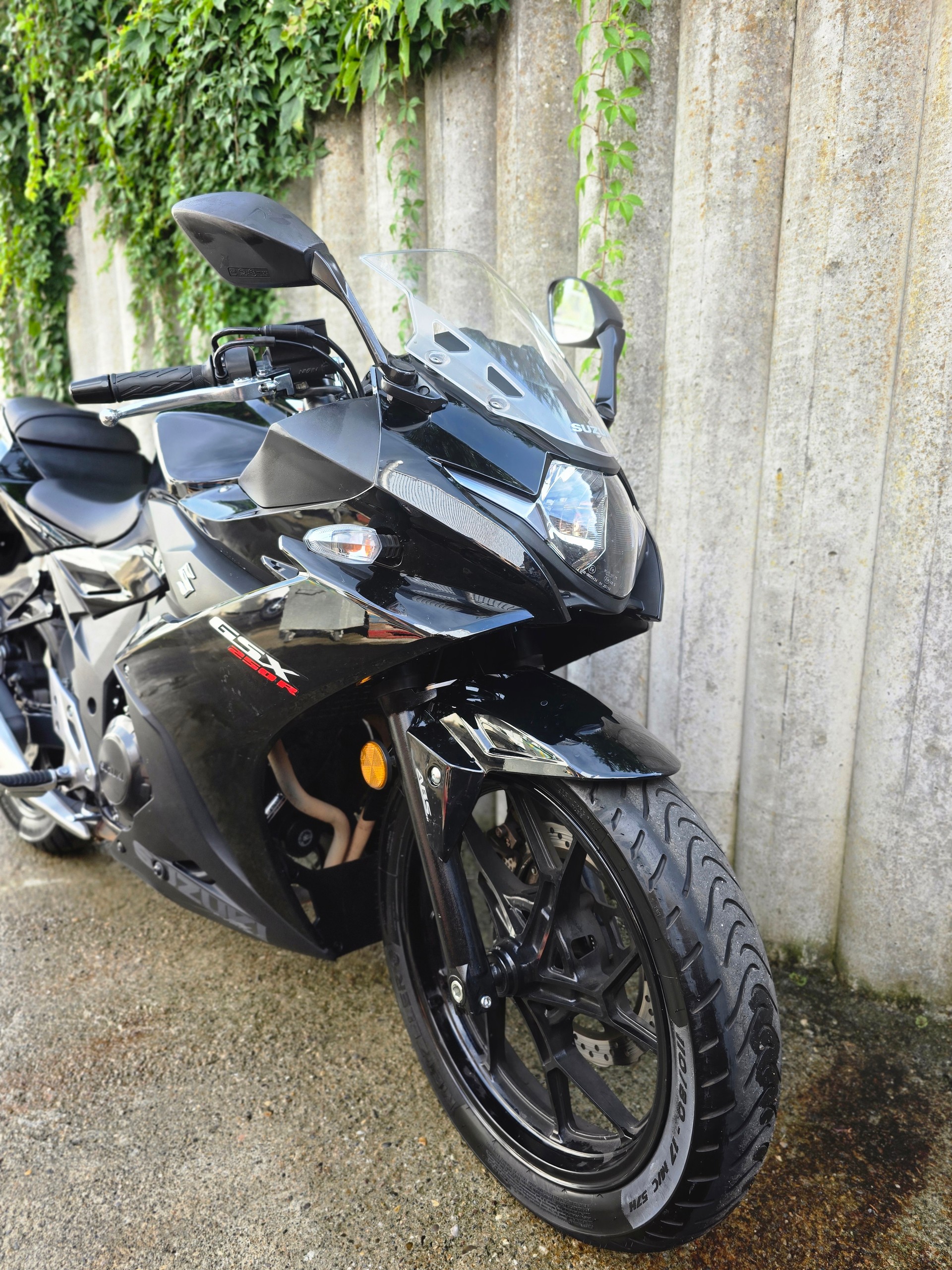 SUZUKI GSX-R 250 L7-image-6