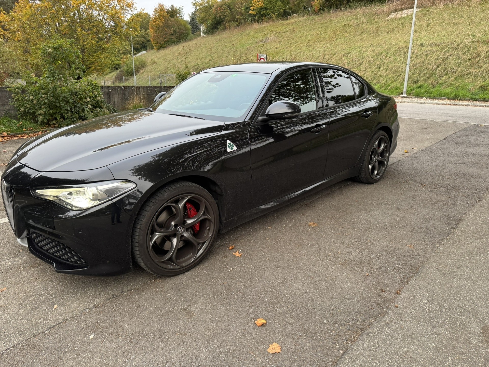 ALFA ROMEO Giulia 2.0 Veloce Q4 Automatic-image-3