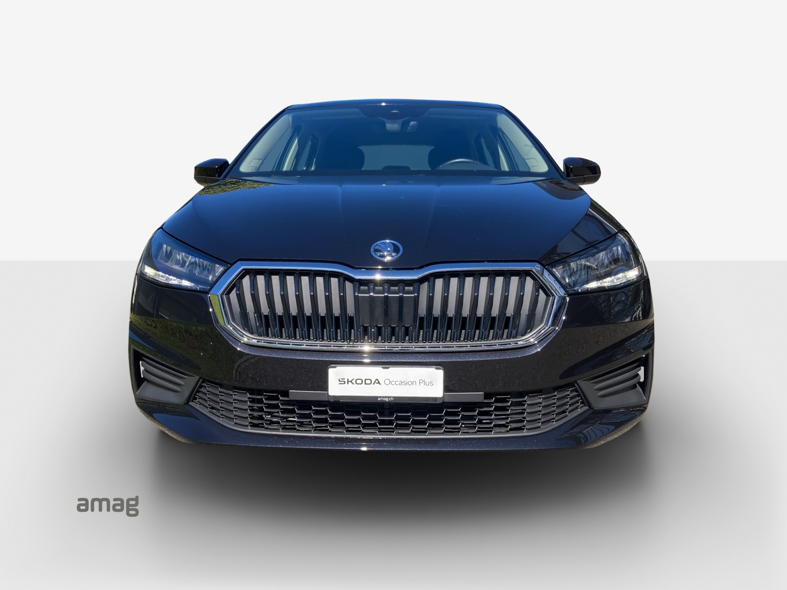 SKODA Fabia 1.0 TSI Ambition-image-6