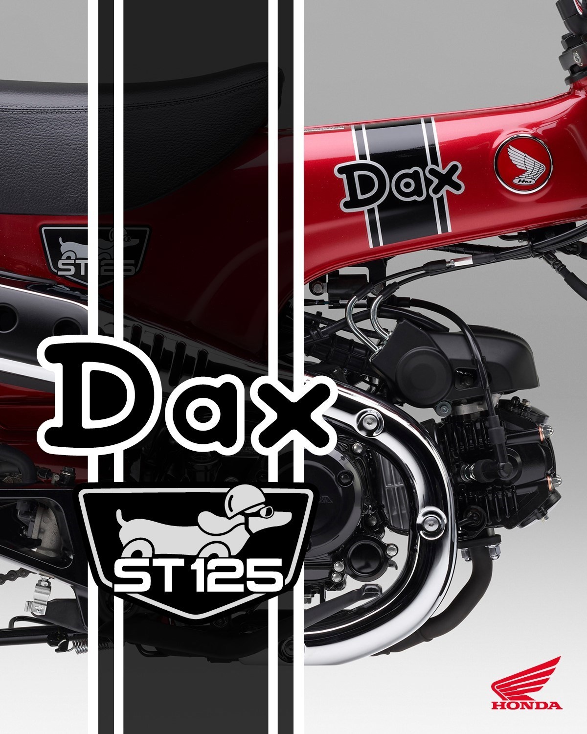 HONDA St 125 Dax-image-2
