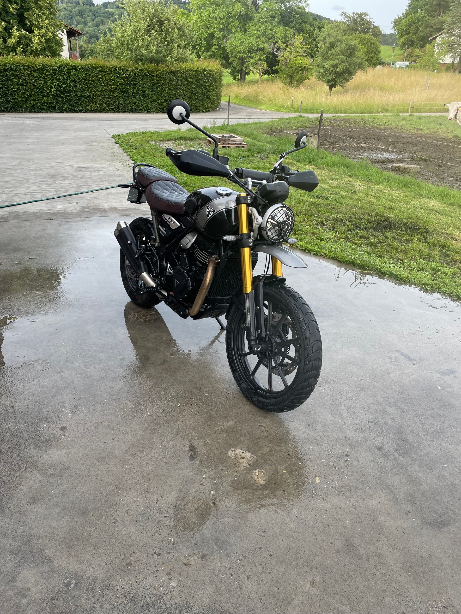 TRIUMPH Scrambler 400 X-image-4