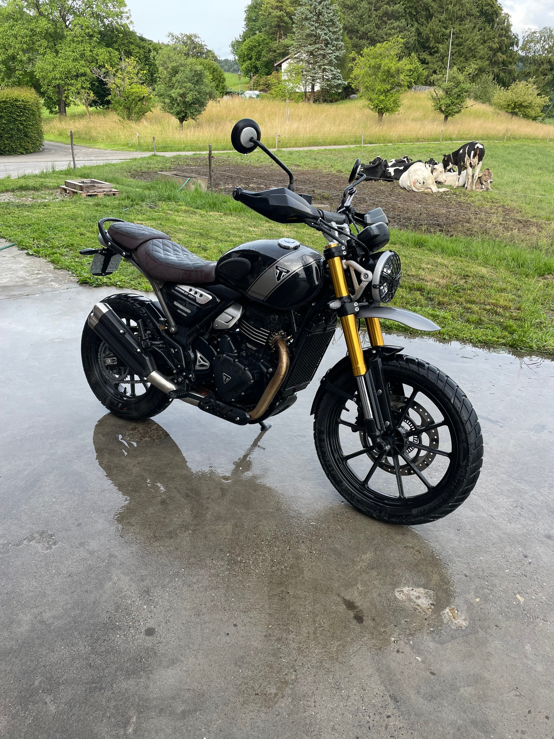 TRIUMPH Scrambler 400 X-image-0