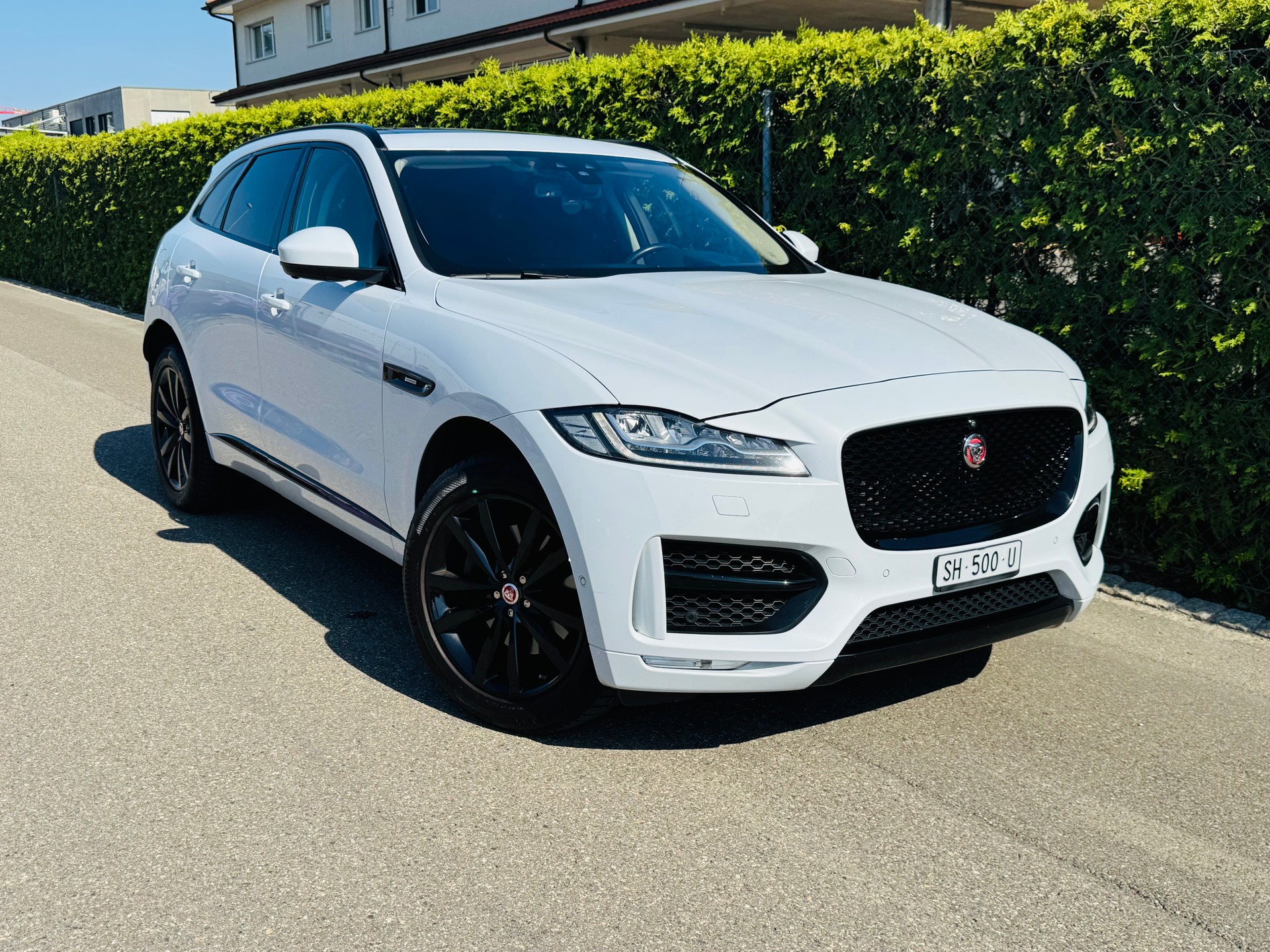 JAGUAR F-Pace 3.0 TD R-Sport *300PS* AWD Automatik