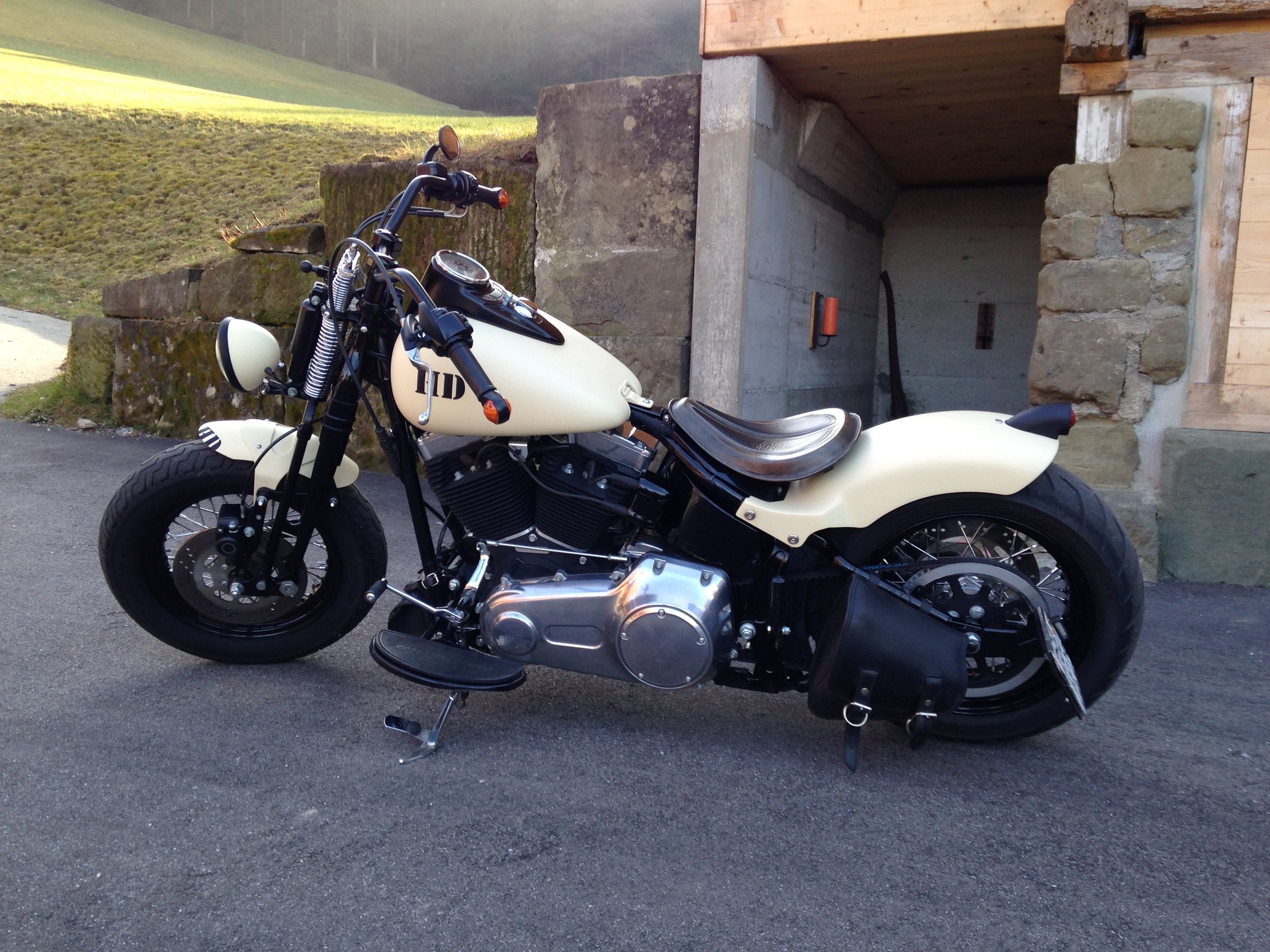 HARLEY-DAVIDSON FLSTSB, Cross Bones-image-2