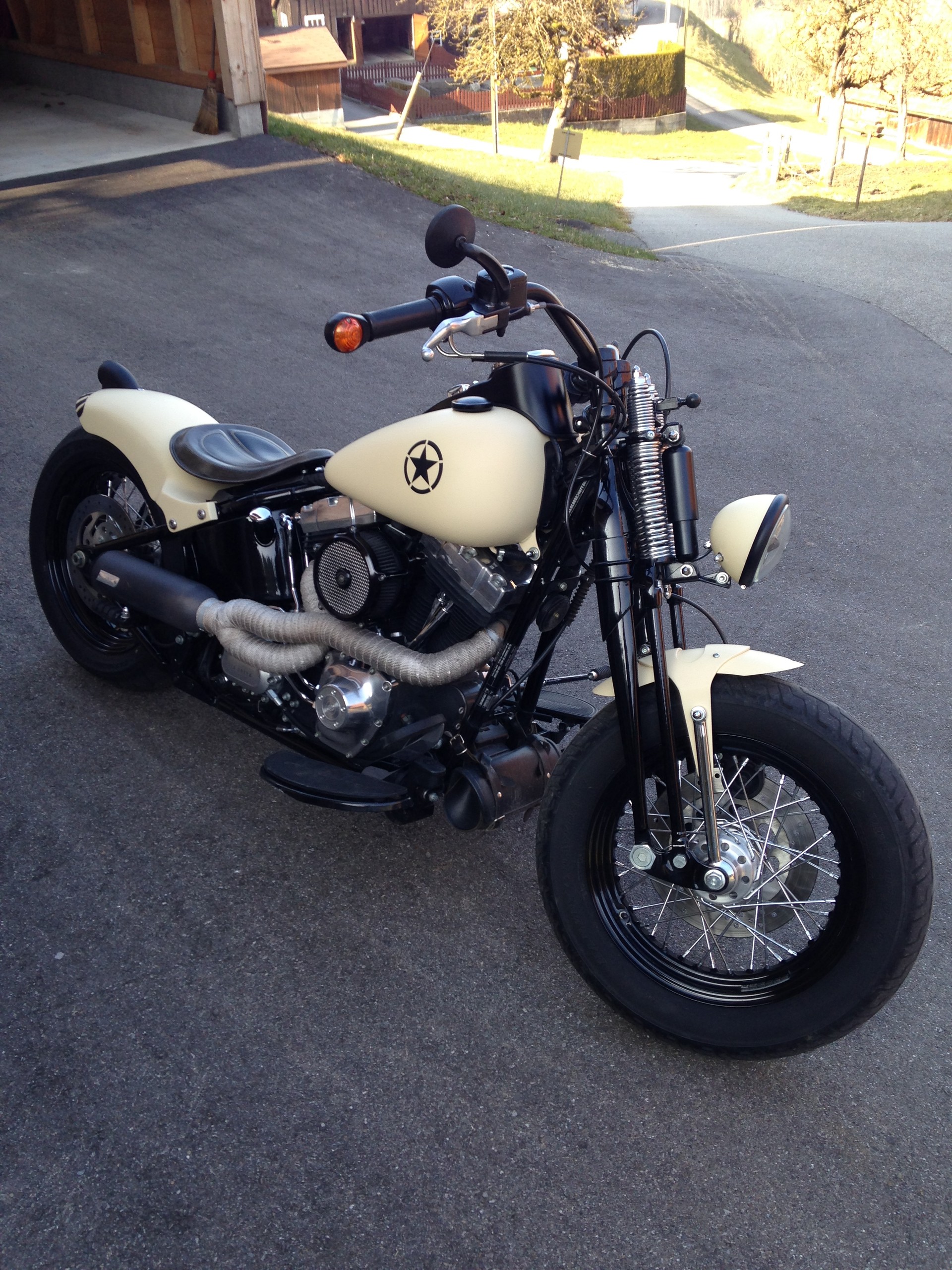 HARLEY-DAVIDSON FLSTSB, Cross Bones-image-4