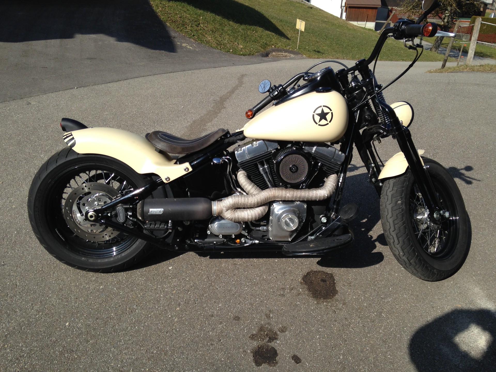 HARLEY-DAVIDSON FLSTSB, Cross Bones-image-1