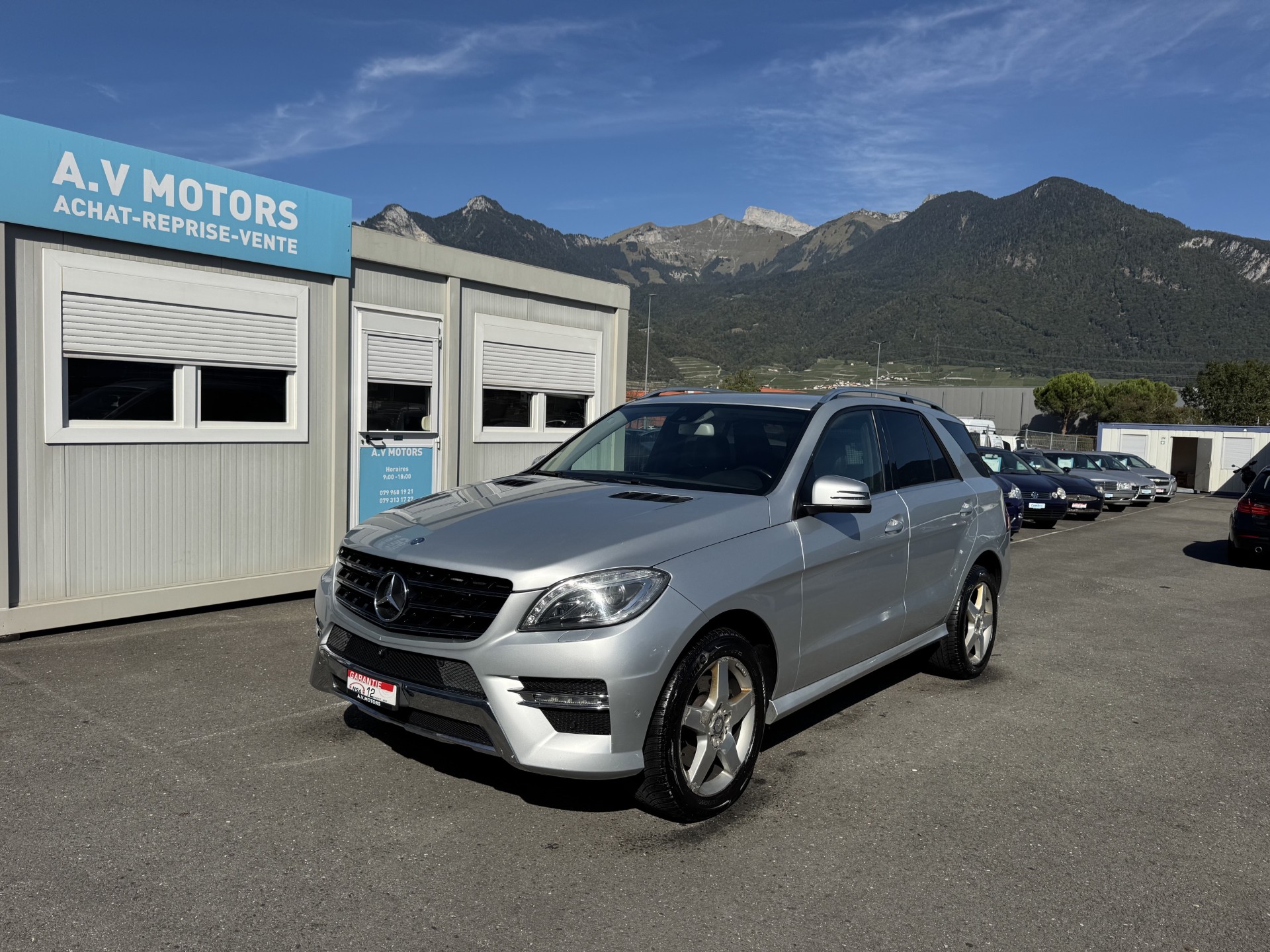 MERCEDES-BENZ ML 250 BlueTEC Executive 4Matic 7G-Tronic