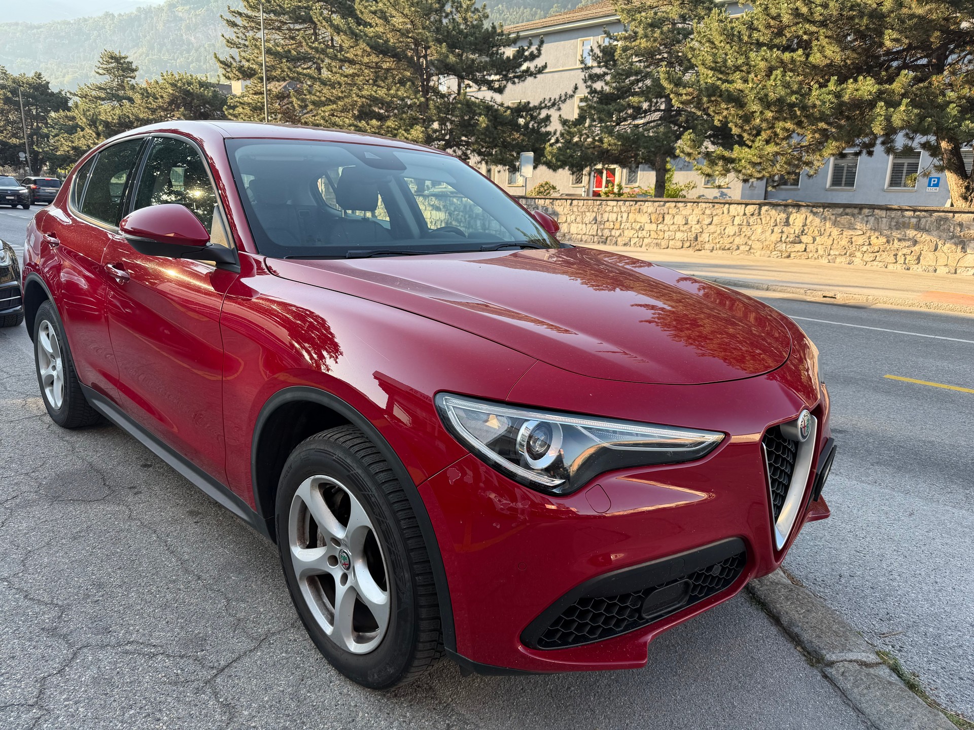 ALFA ROMEO Stelvio 2.0 Super Q4 Automatic-showroom-element-2