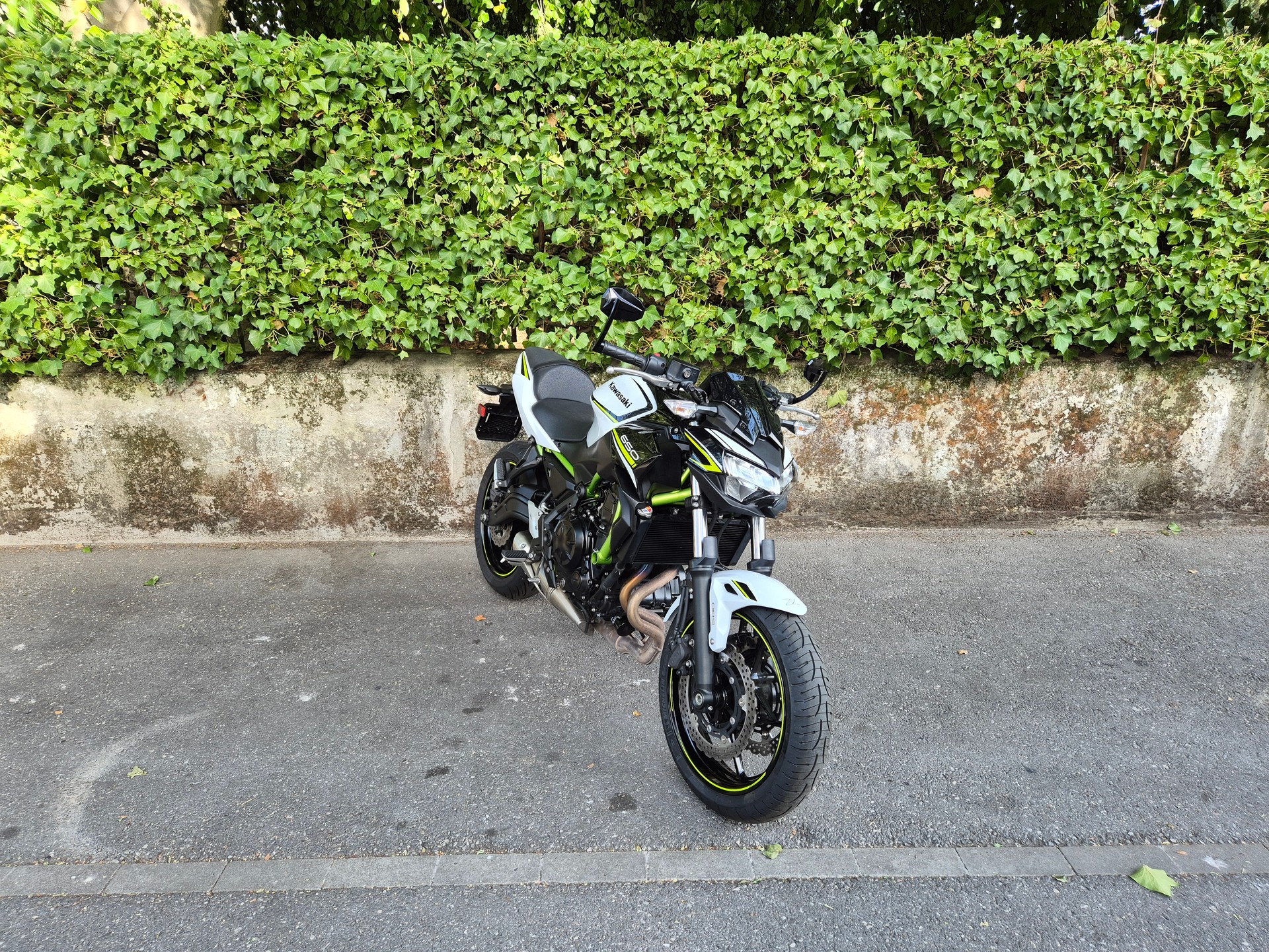 KAWASAKI Z 650 (35kW)-image-5