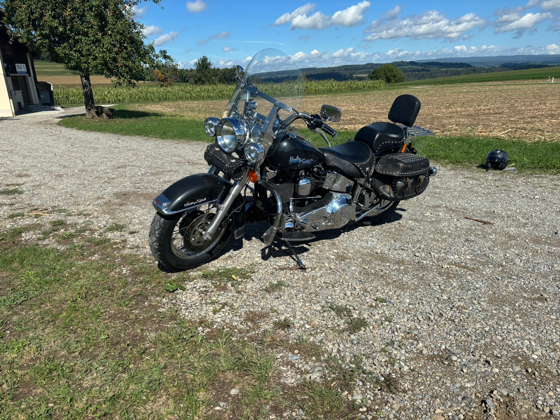 HARLEY-DAVIDSON FXSTC Softail Custom-image-7