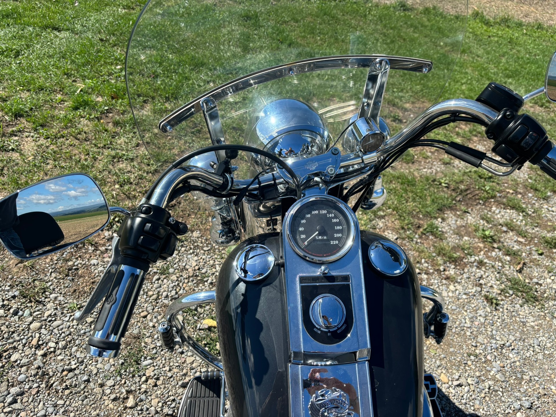 HARLEY-DAVIDSON FXSTC Softail Custom-image-6