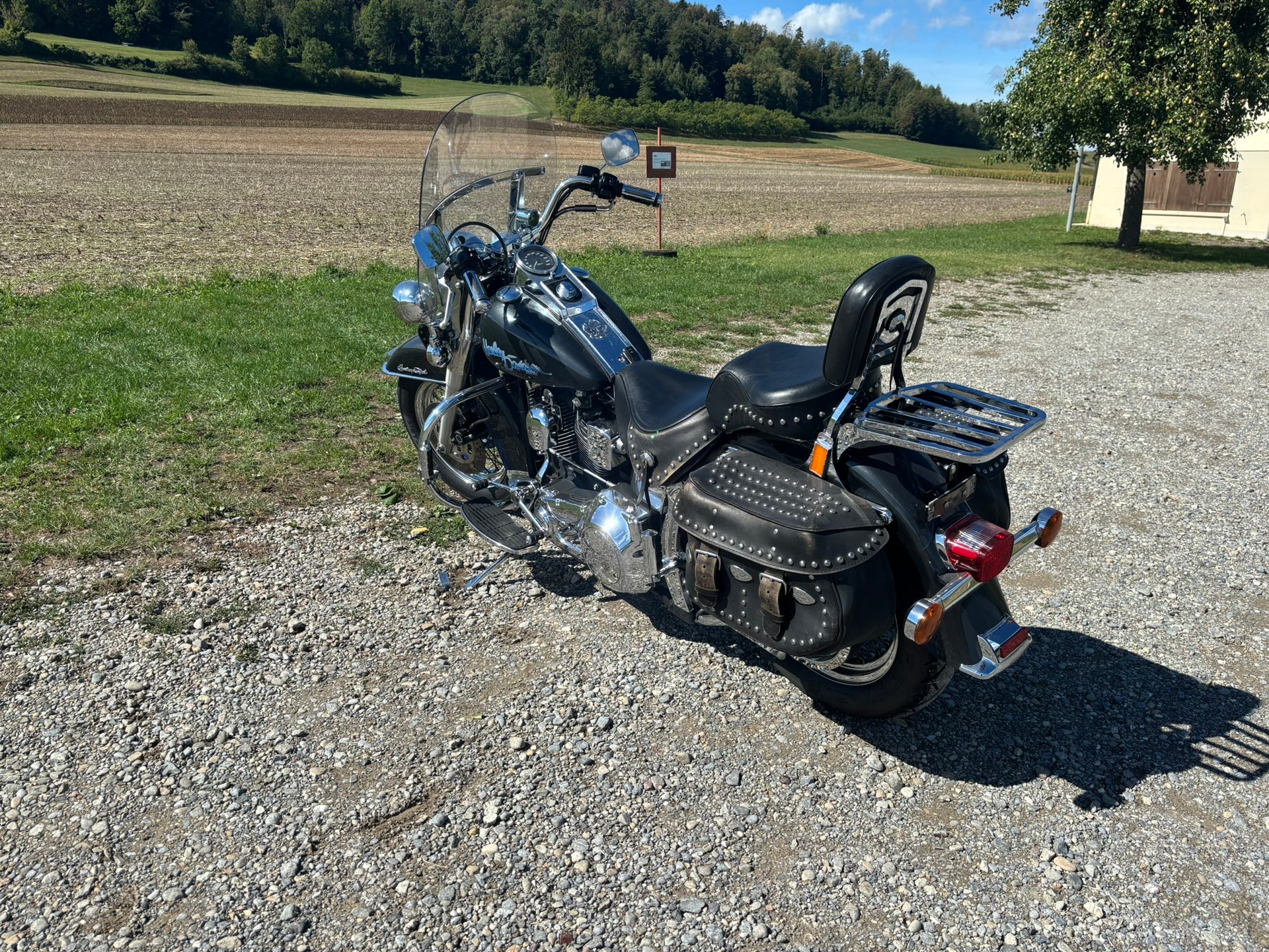 HARLEY-DAVIDSON FXSTC Softail Custom-image-8