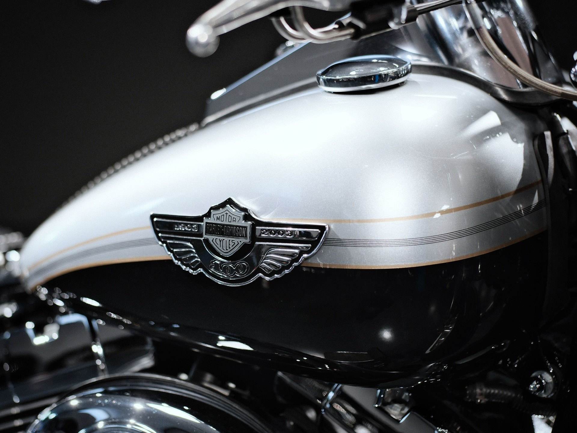 HARLEY-DAVIDSON FLSTFI-image-8