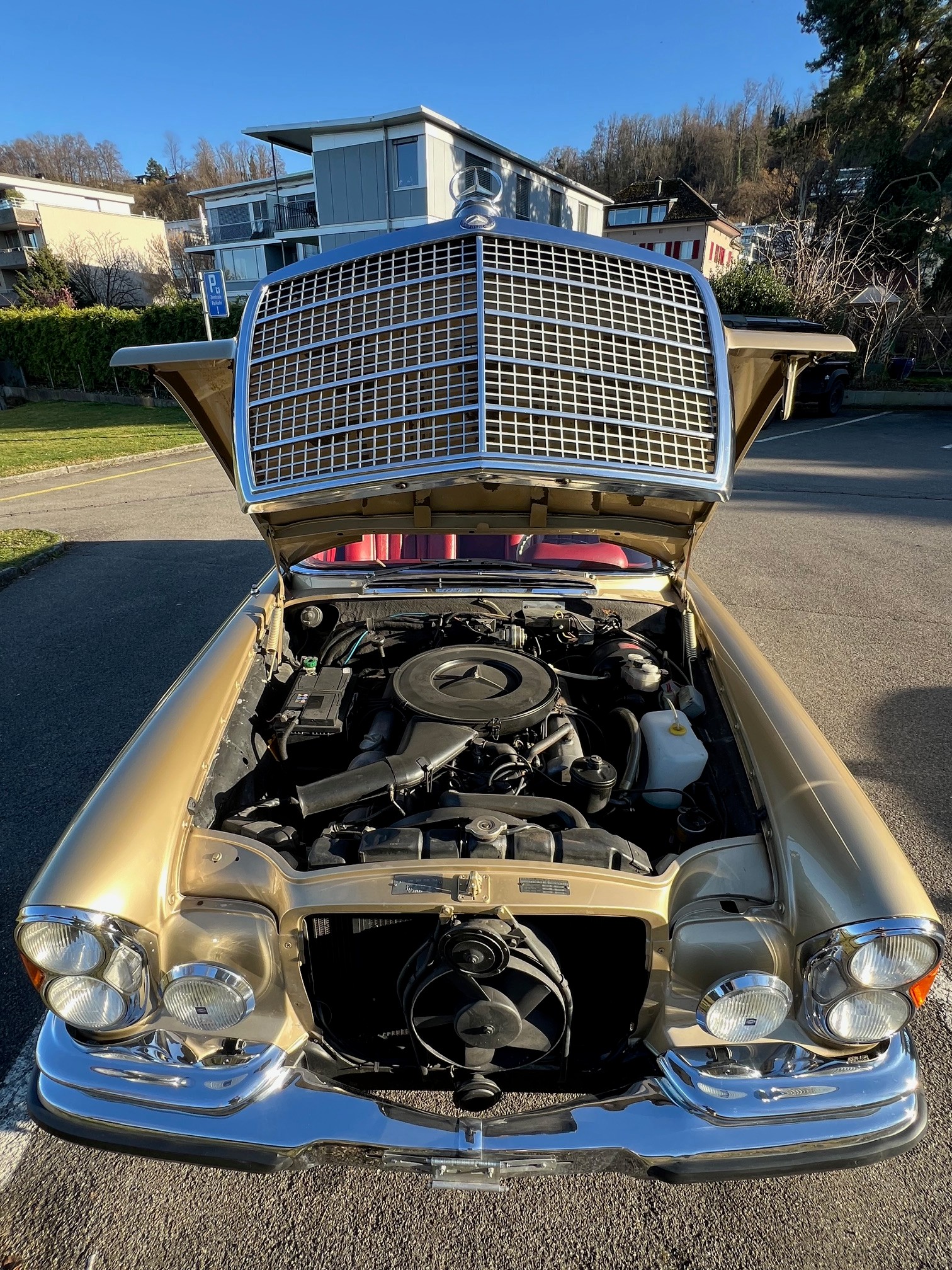 MERCEDES-BENZ 280 SE 3.5 Coupe Veteran 1 of 1-image-5