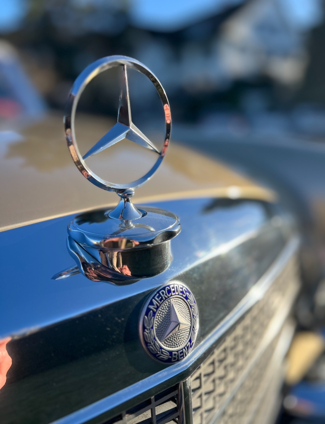 MERCEDES-BENZ 280 SE 3.5 Coupe Veteran 1 of 1-image-17