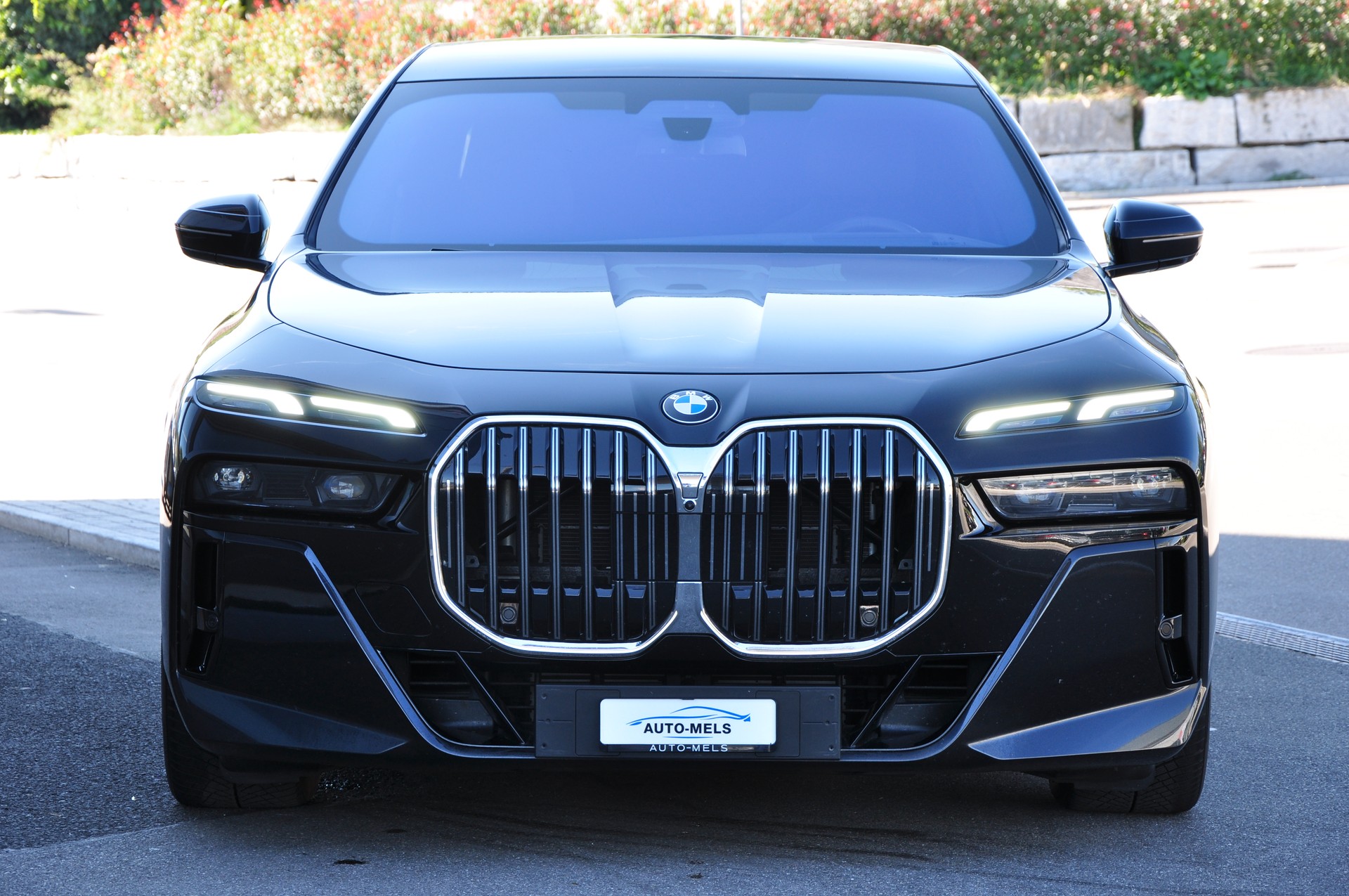 BMW 740d xDrive 48V M Sport Steptronic-image-12