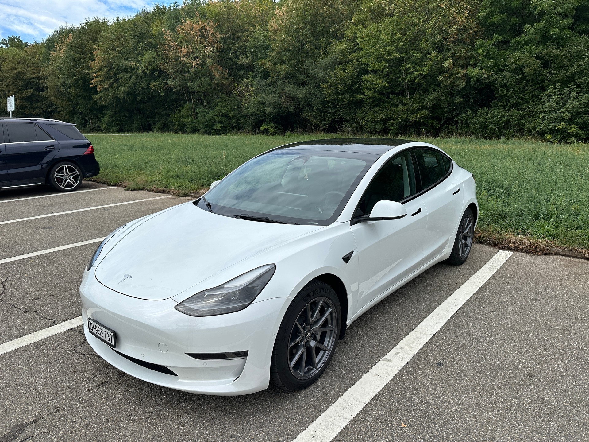 TESLA Long Range D