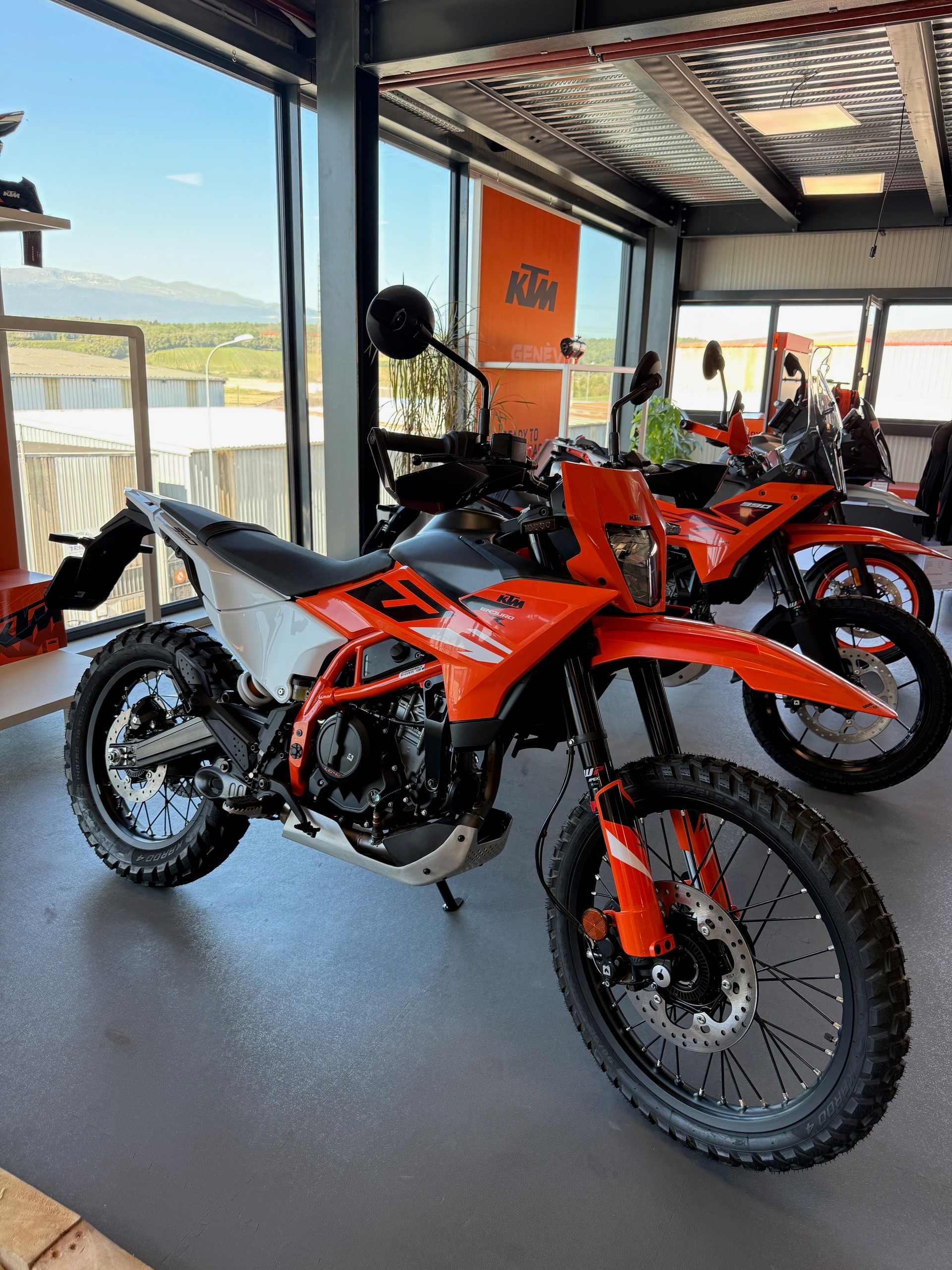 KTM 390 Enduro R-image-0