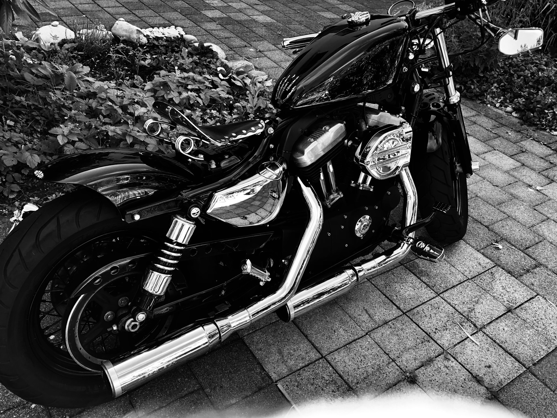 HARLEY-DAVIDSON XL 1200 X Forty Eight-image-8