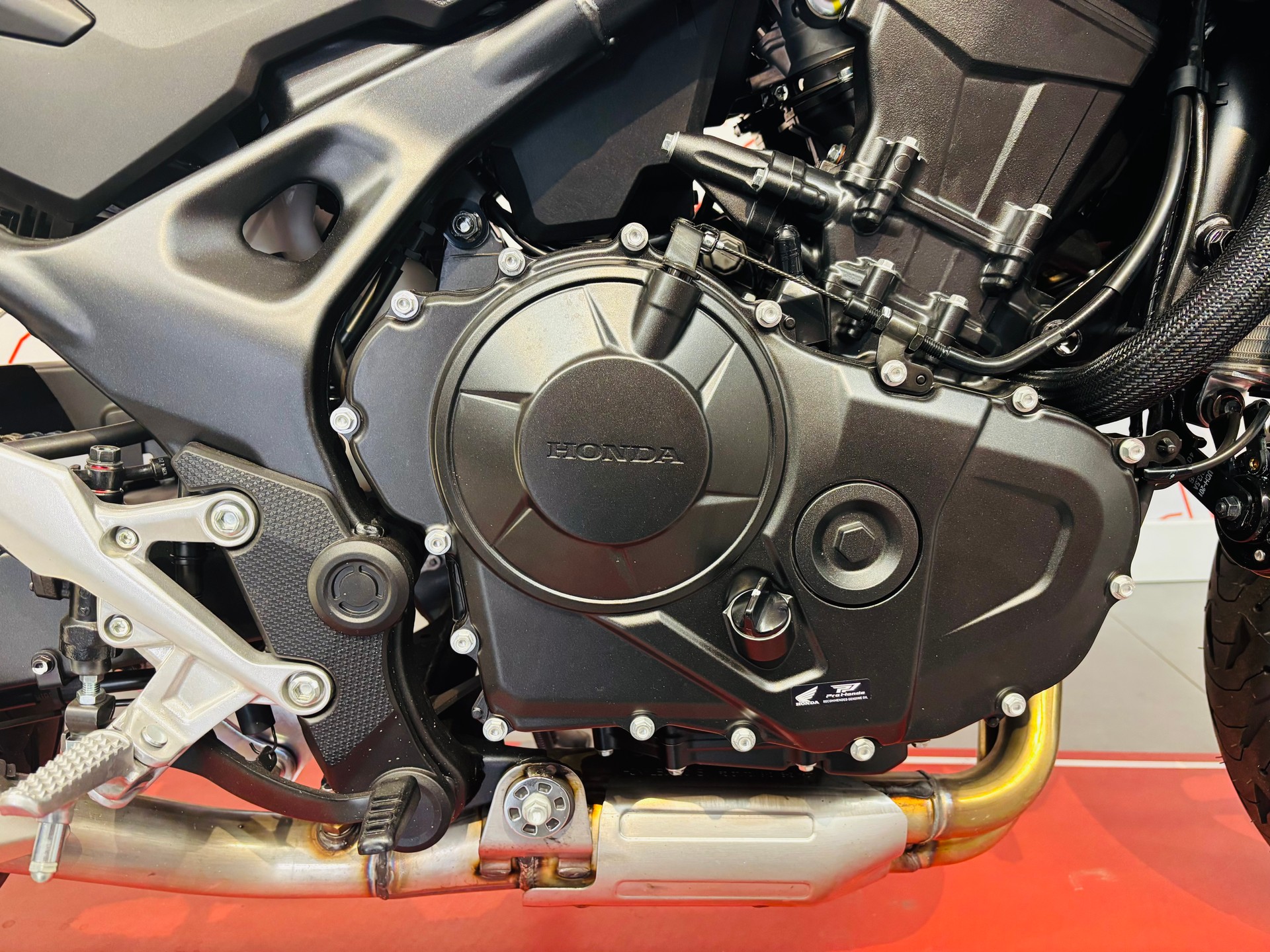 HONDA Hornet-image-6
