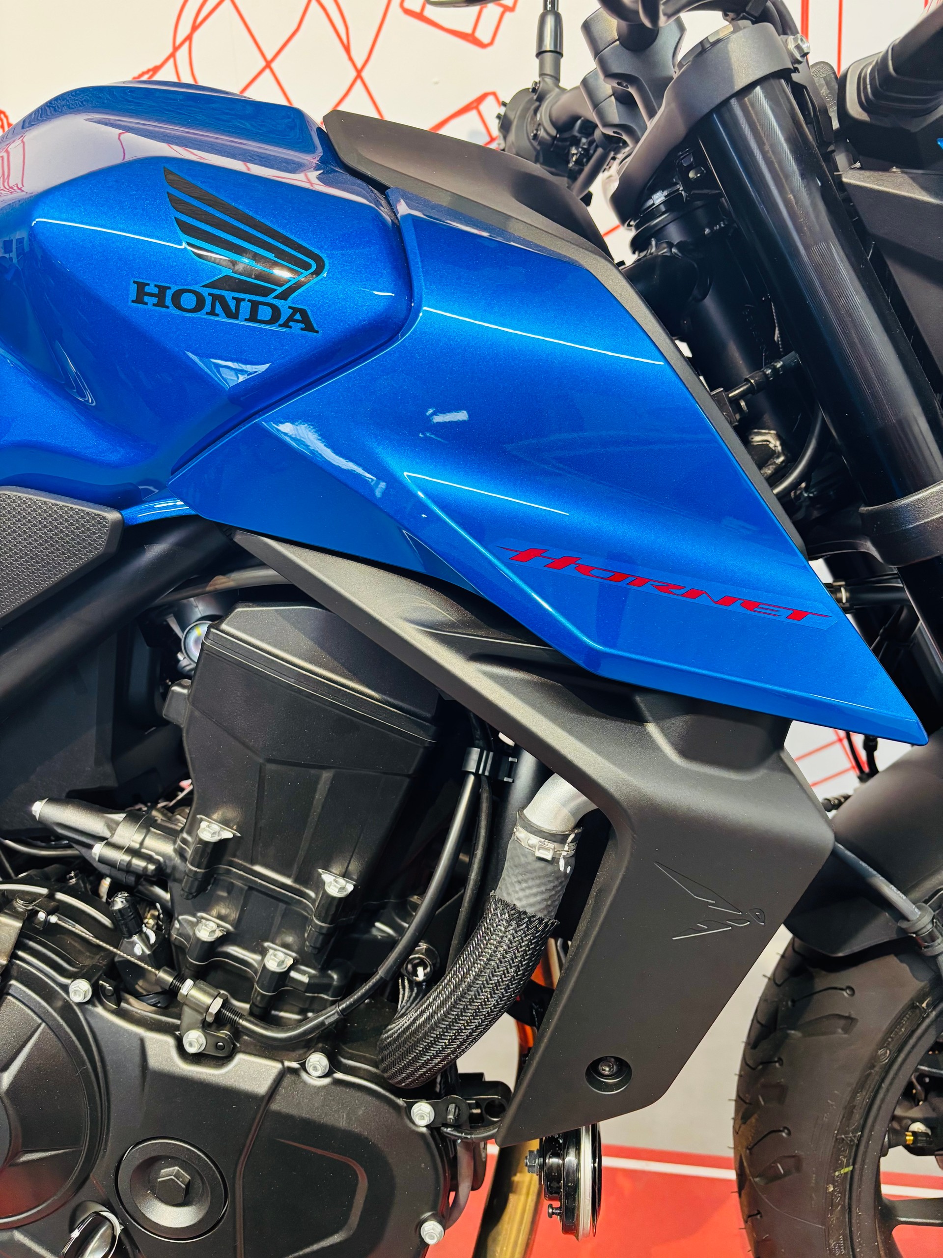 HONDA Hornet-image-5