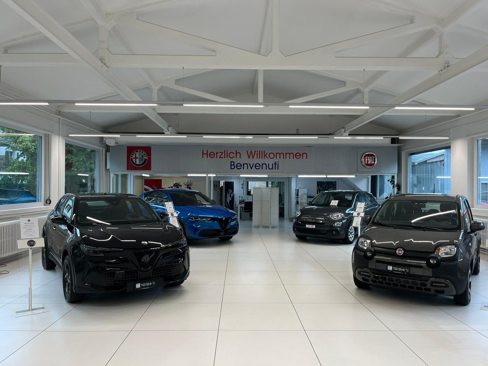 FIAT Icon-image-12