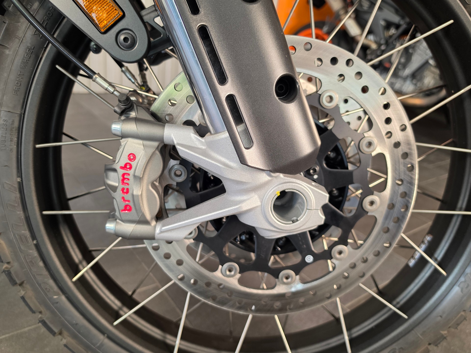 DUCATI Desert X-image-2