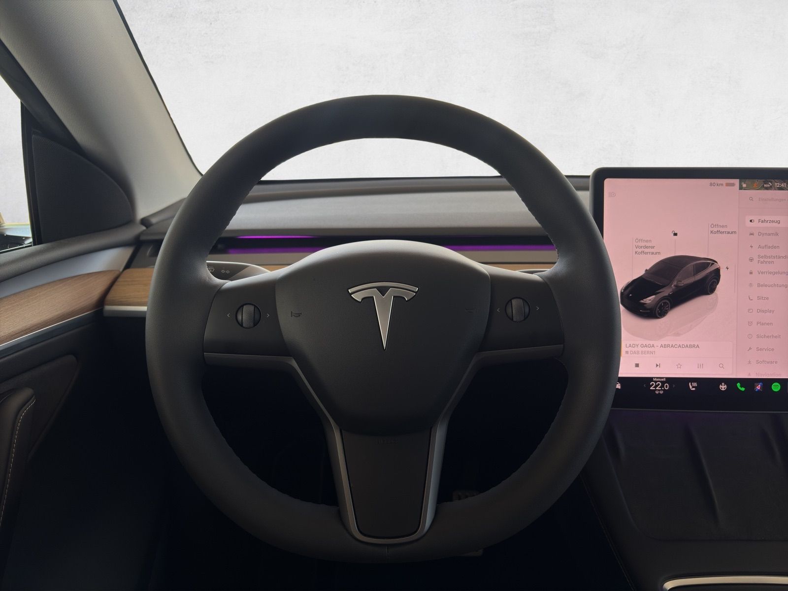 TESLA Model Y Performance-image-10